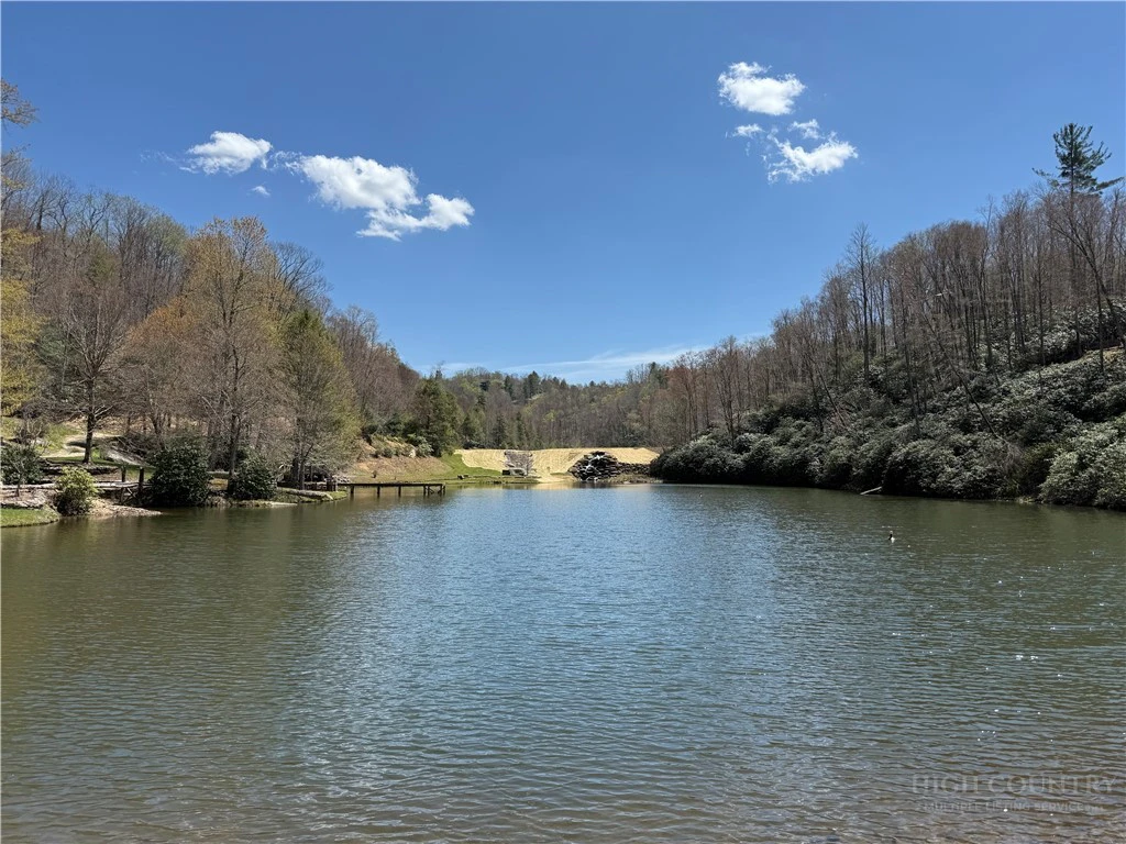 Image number 7 for the current listing