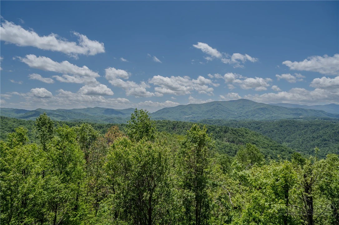 Image number 12 for the current listing