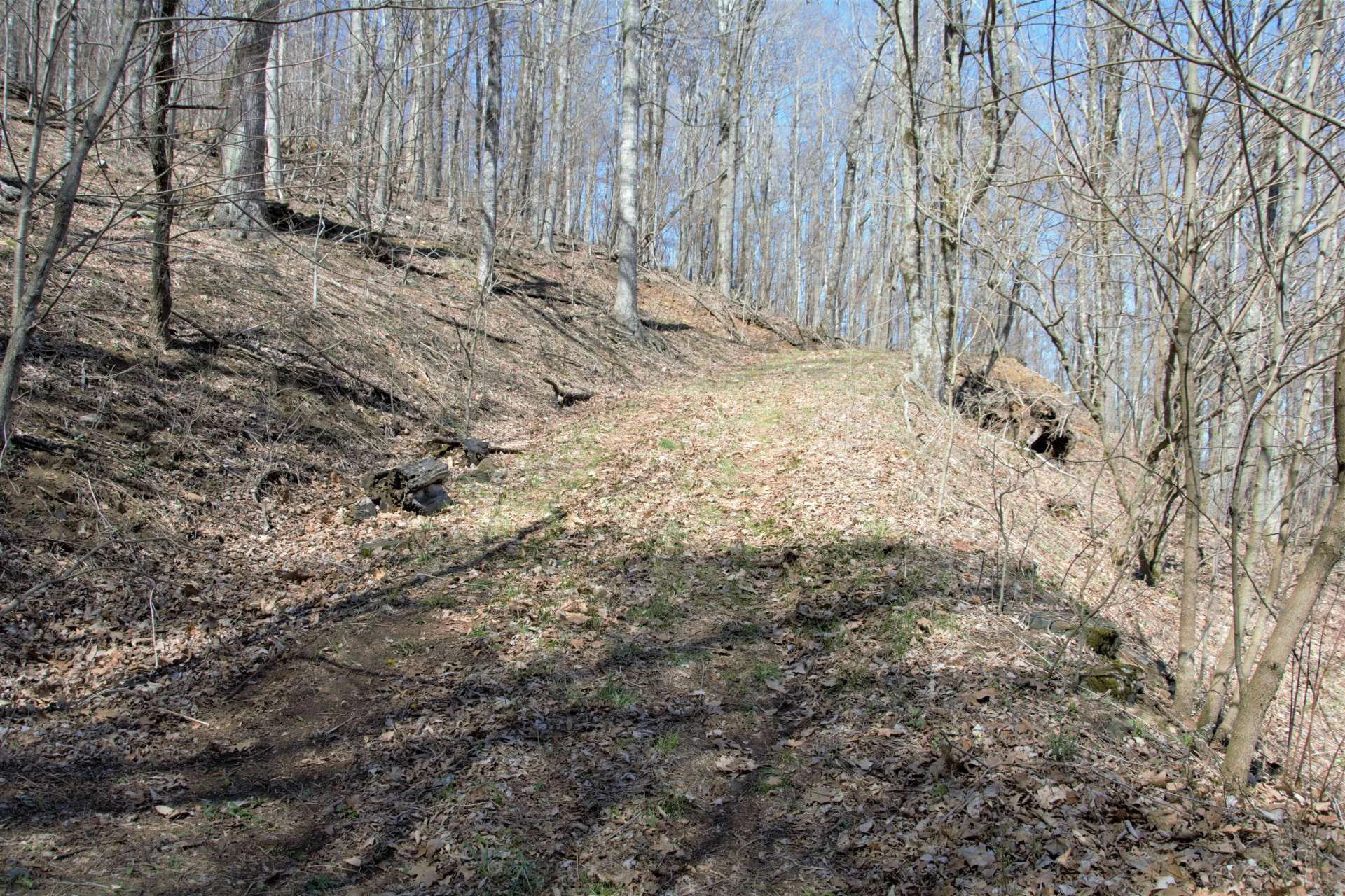 Image number 3 for the current listing