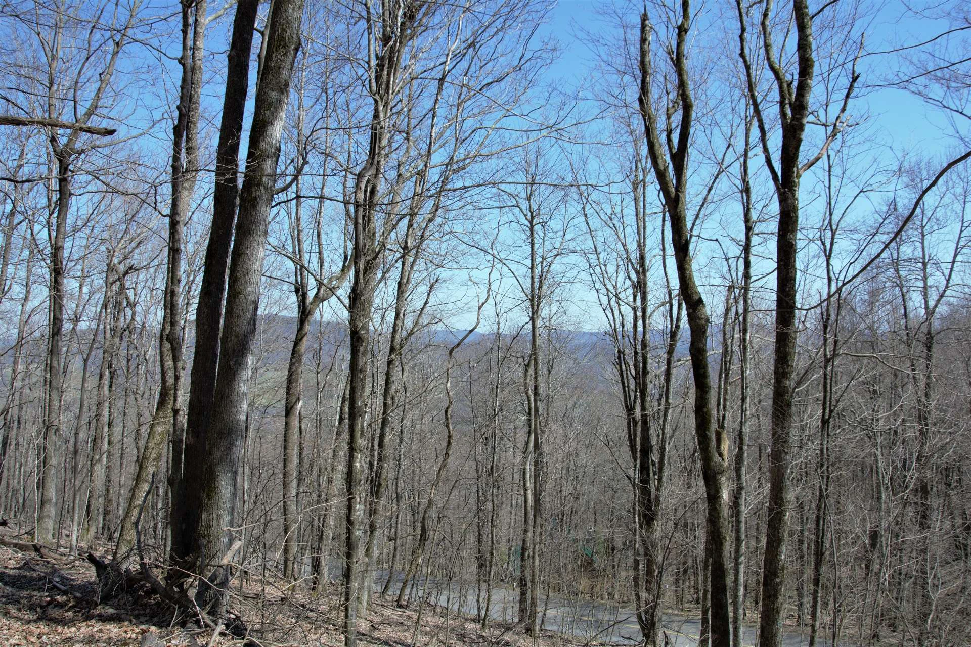 Image number 4 for the current listing