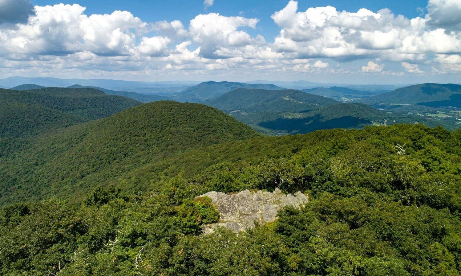 Image number 1 for the current listing