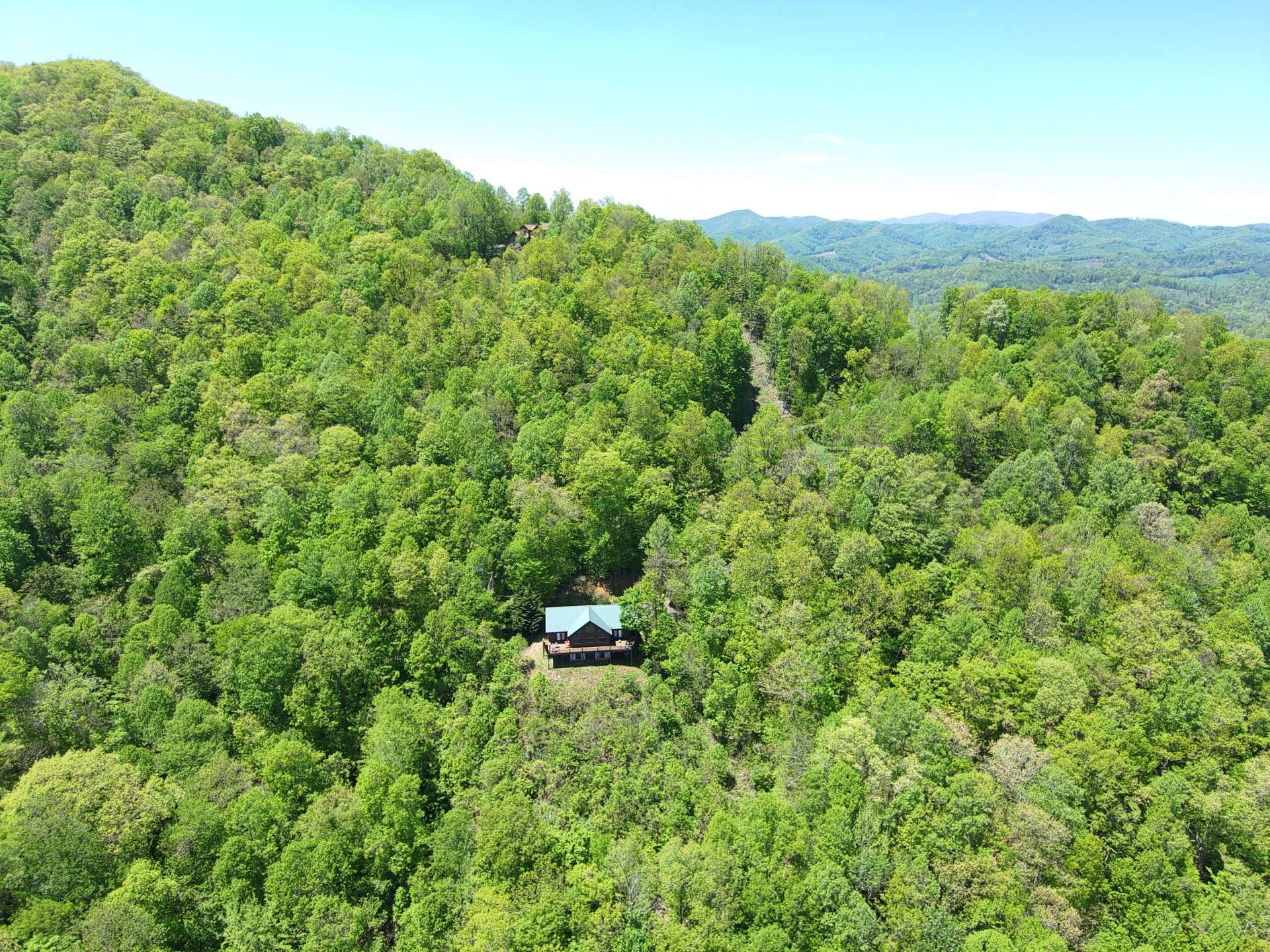 Image number 5 for the current listing