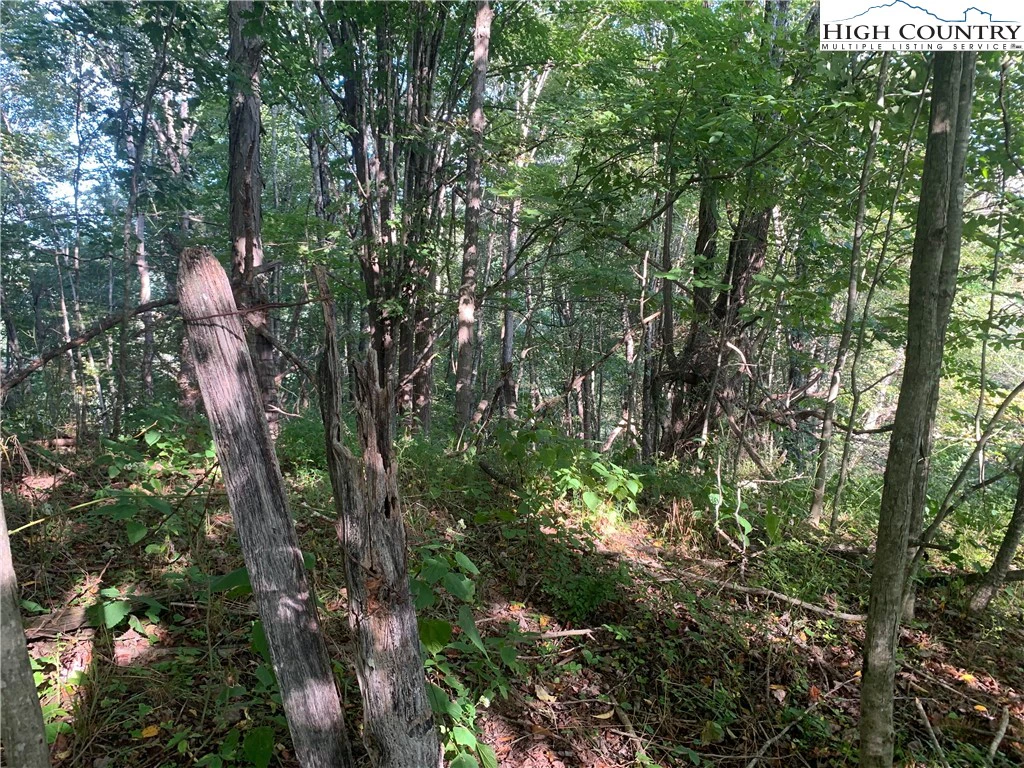 Image number 14 for the current listing