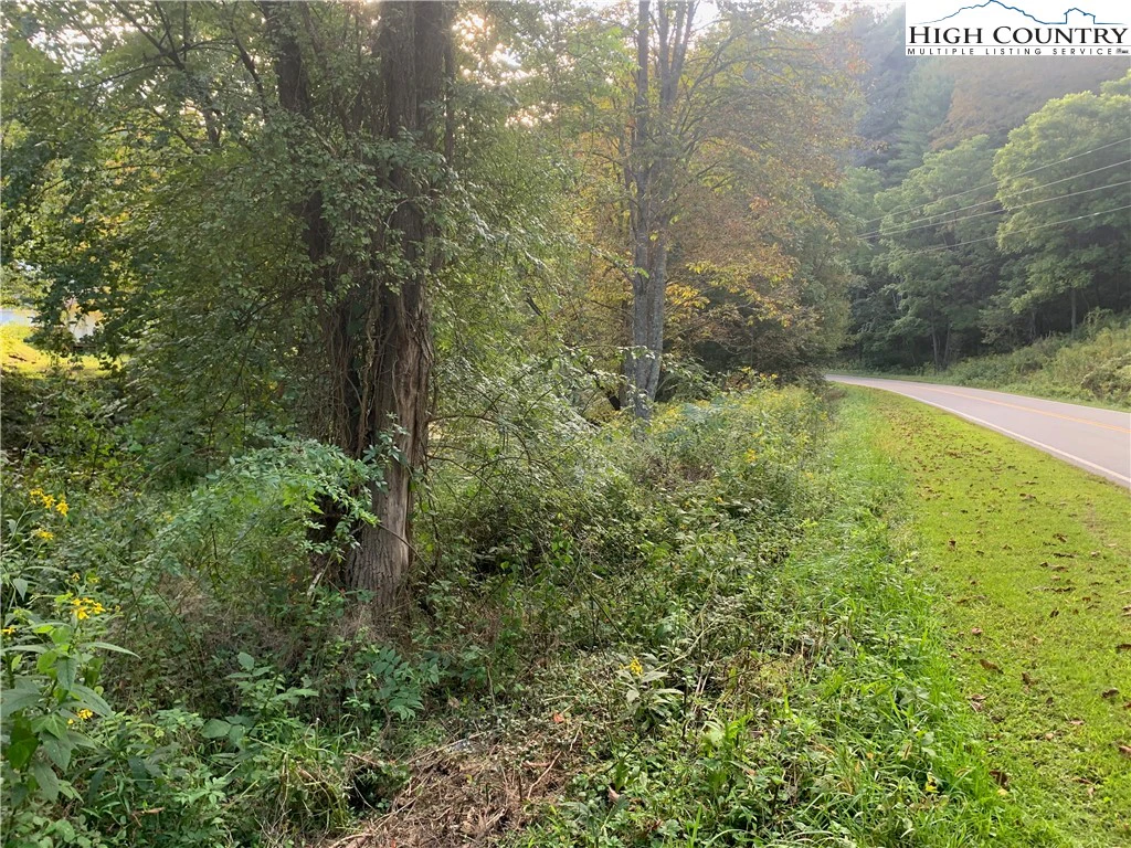 Image number 11 for the current listing
