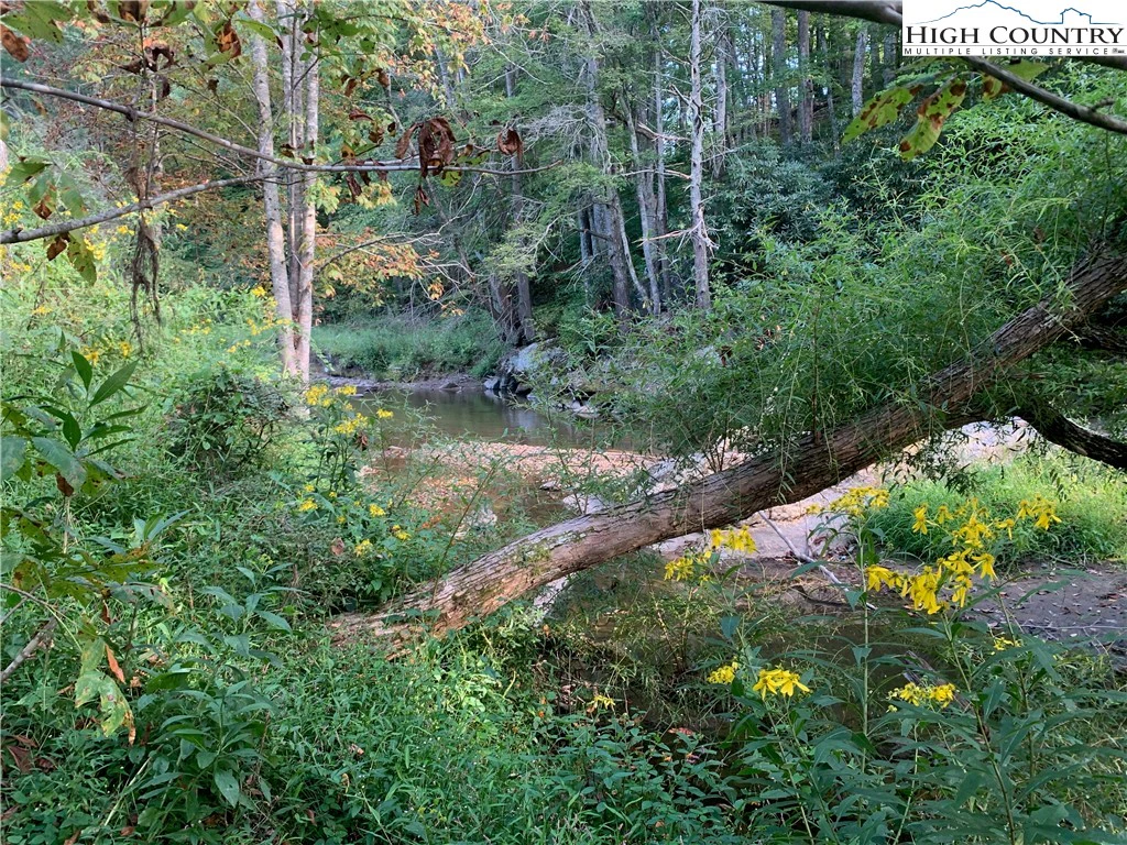Image number 12 for the current listing