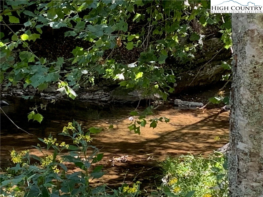 Image number 1 for the current listing