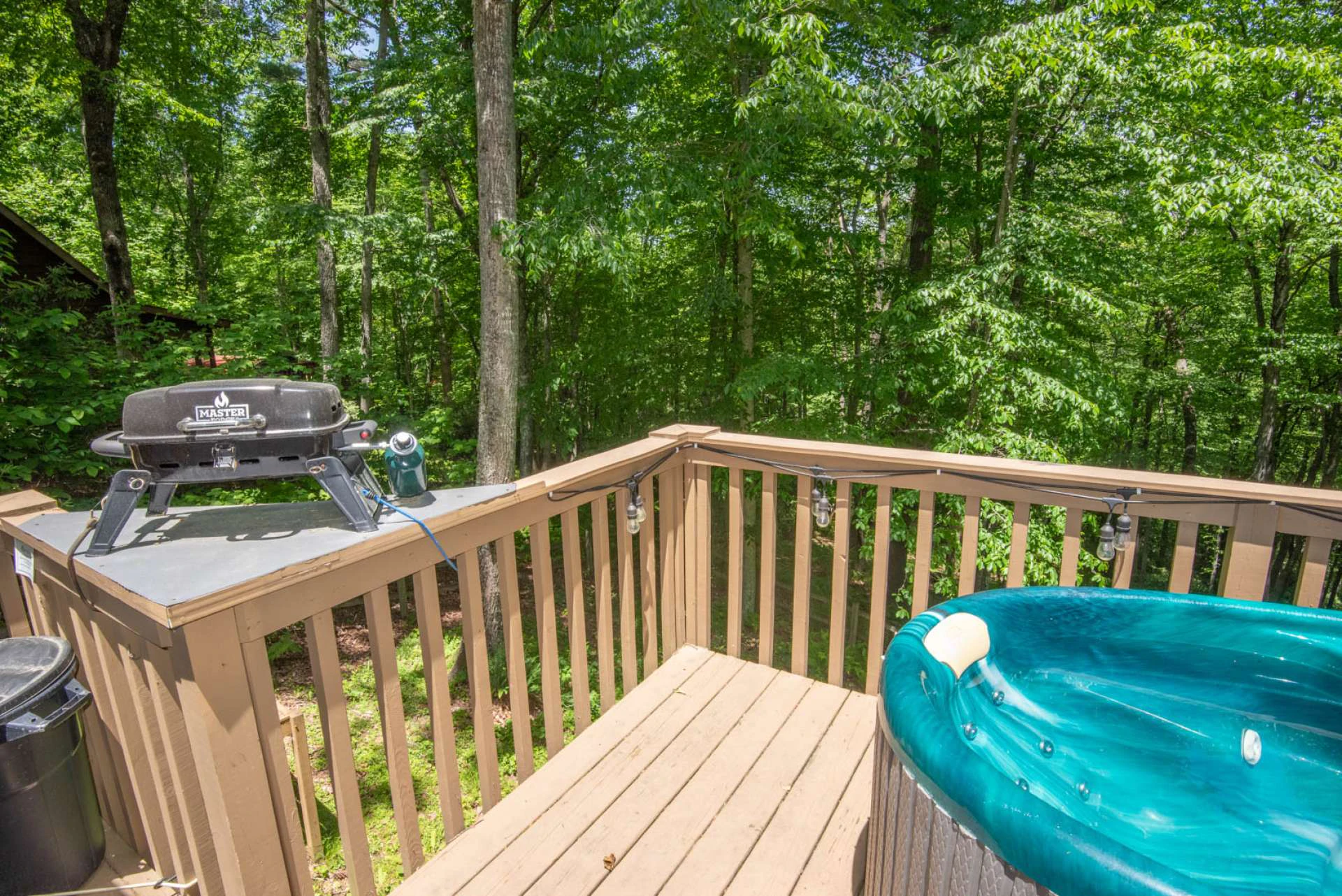 Image number 2 for the current listing