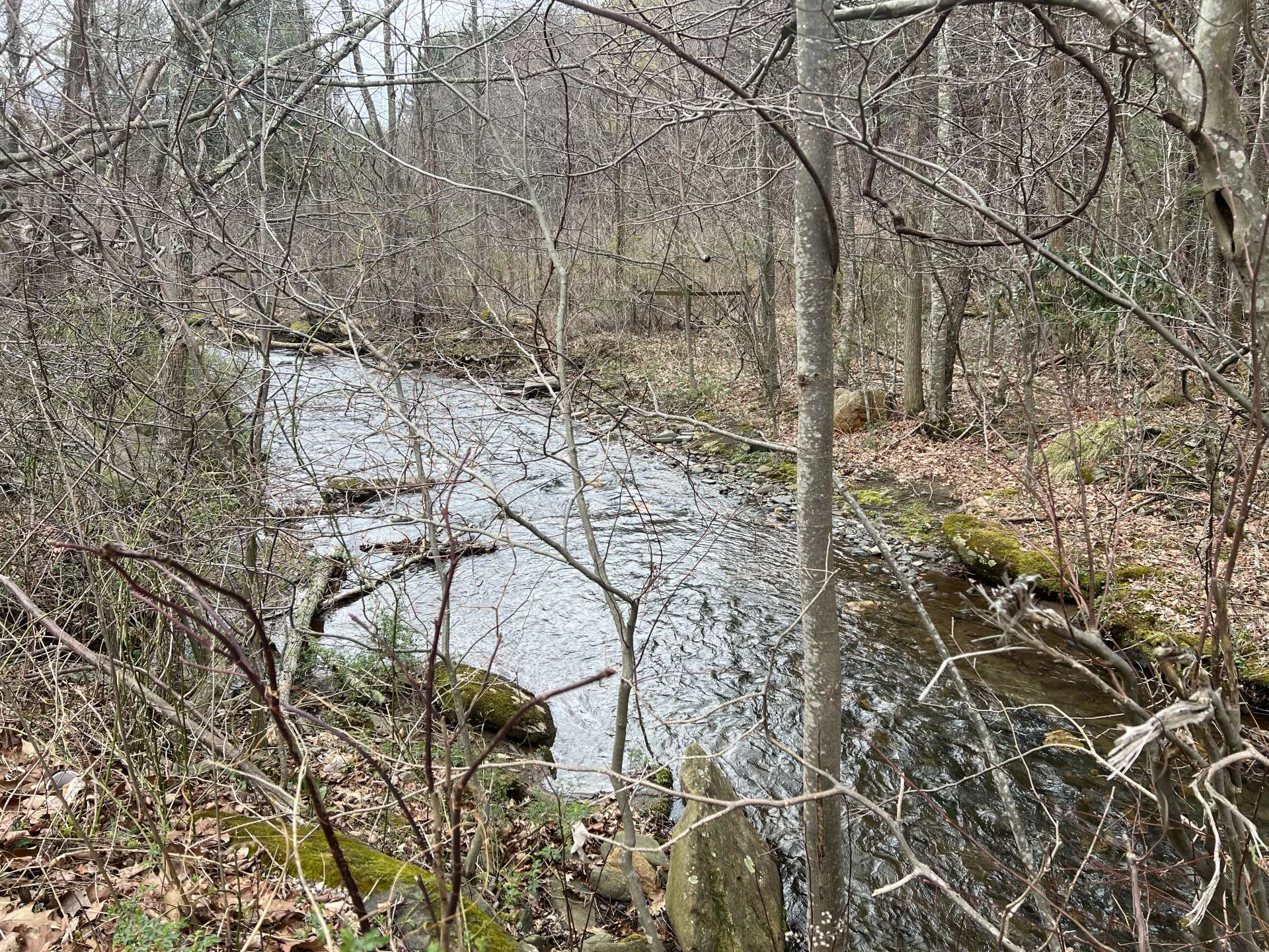 Image number 11 for the current listing