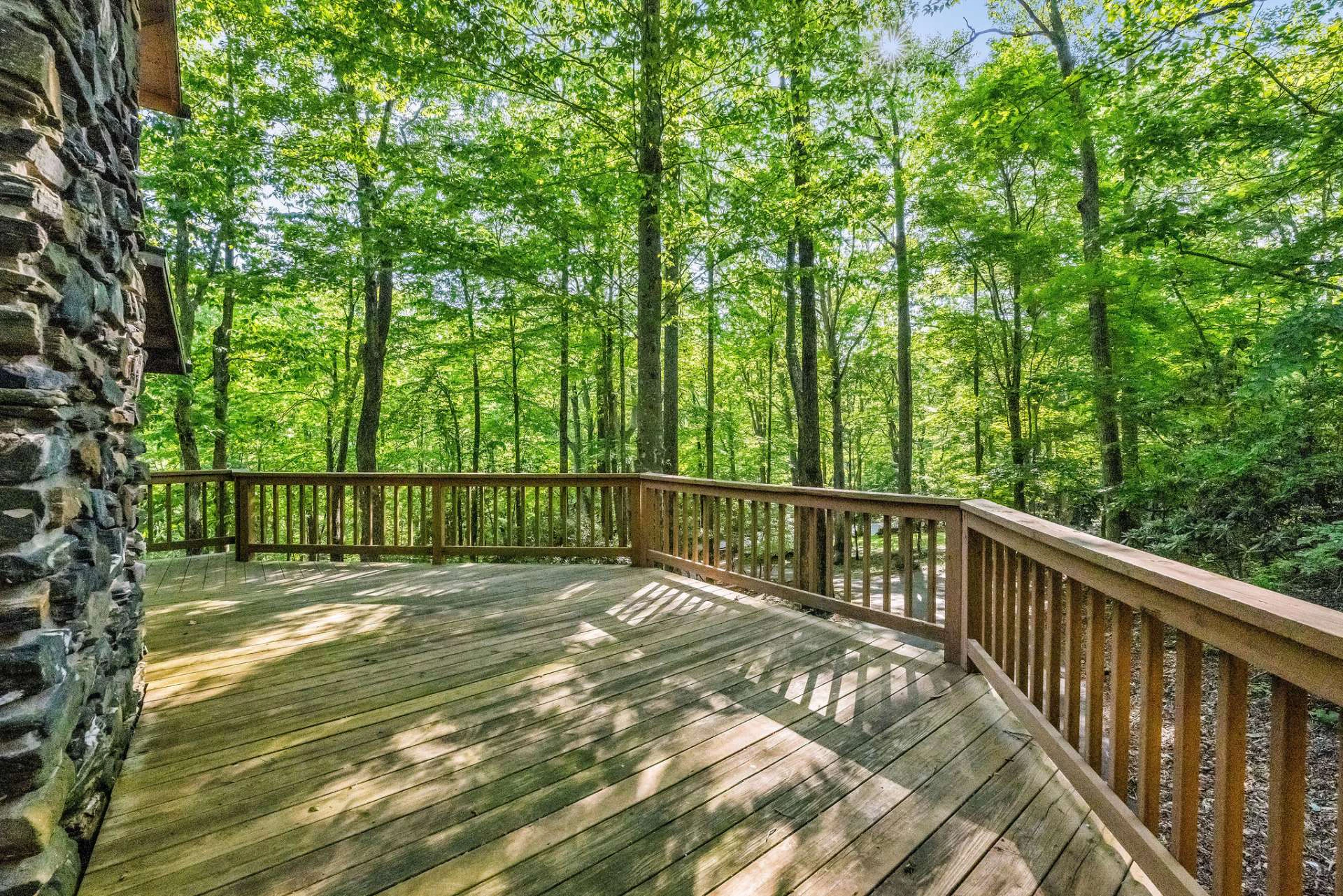 Image number 5 for the current listing