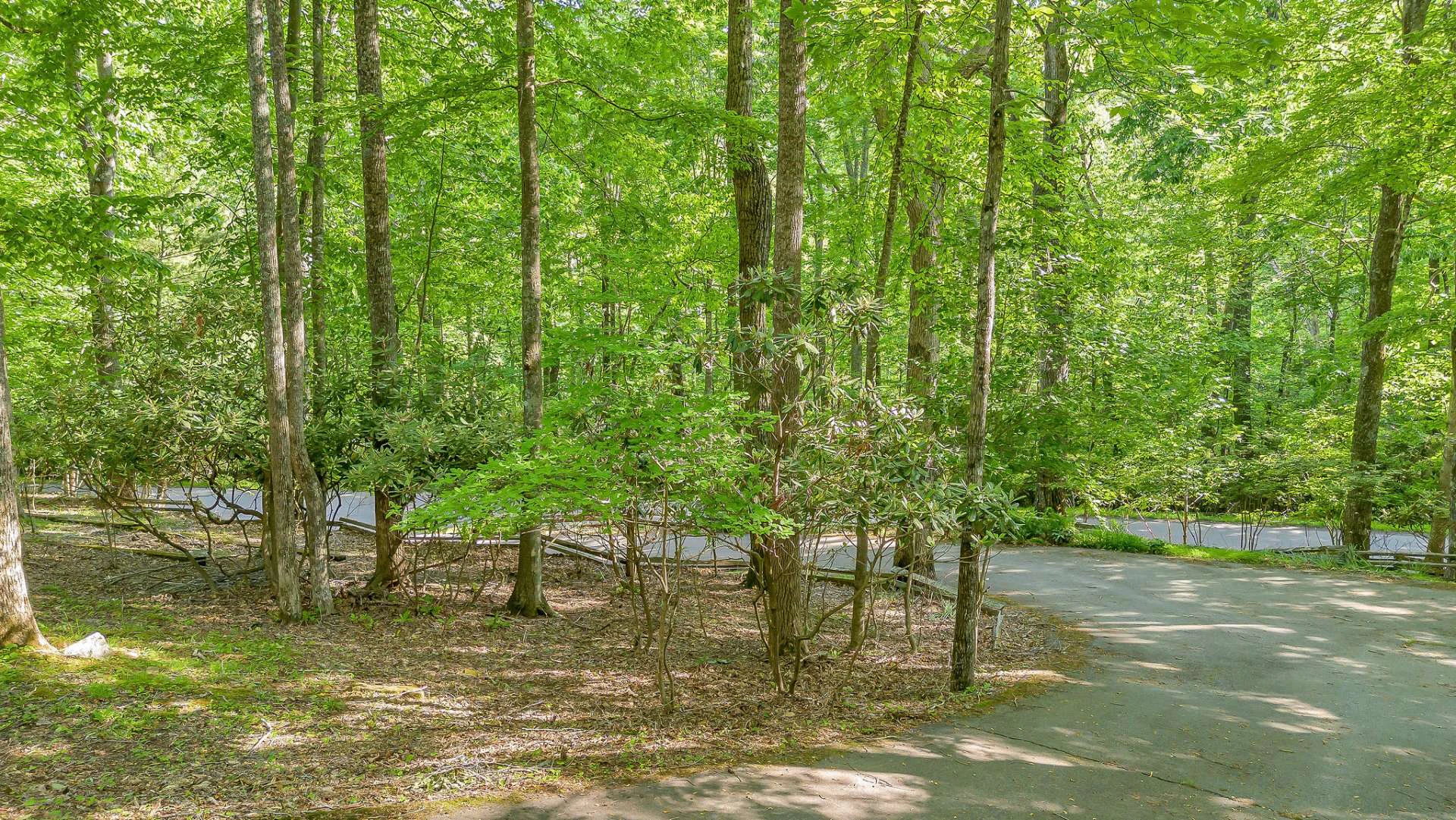 Image number 15 for the current listing