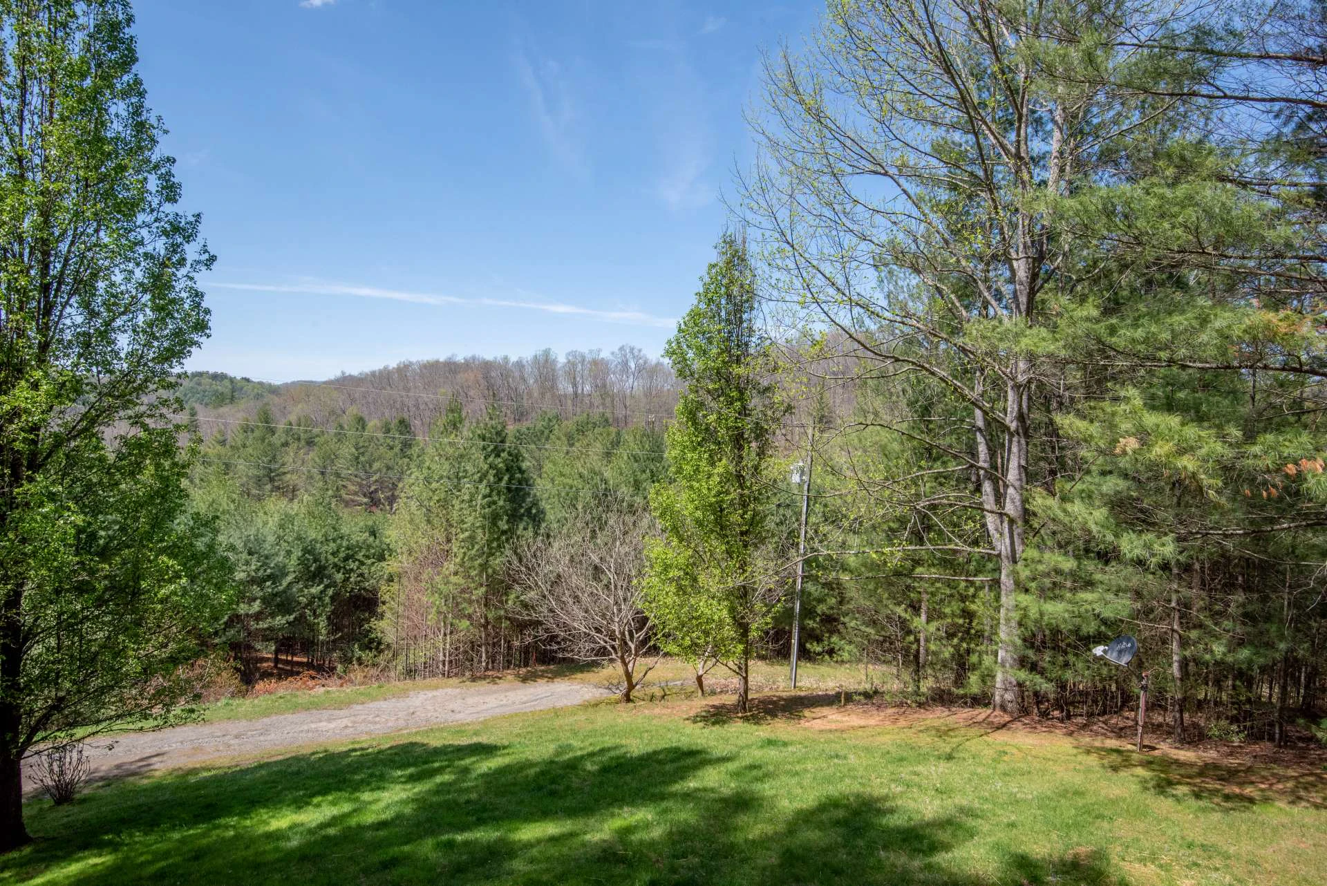 Image number 3 for the current listing