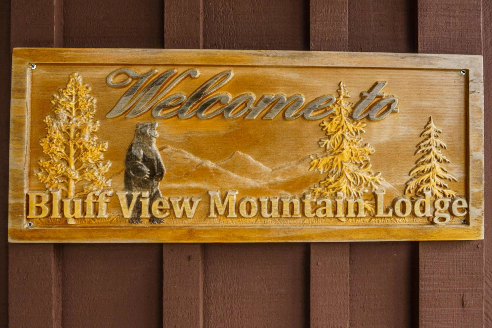 Image number 4 for the current listing