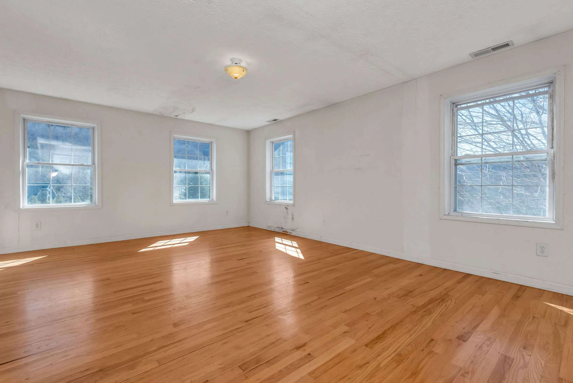 Image number 7 for the current listing