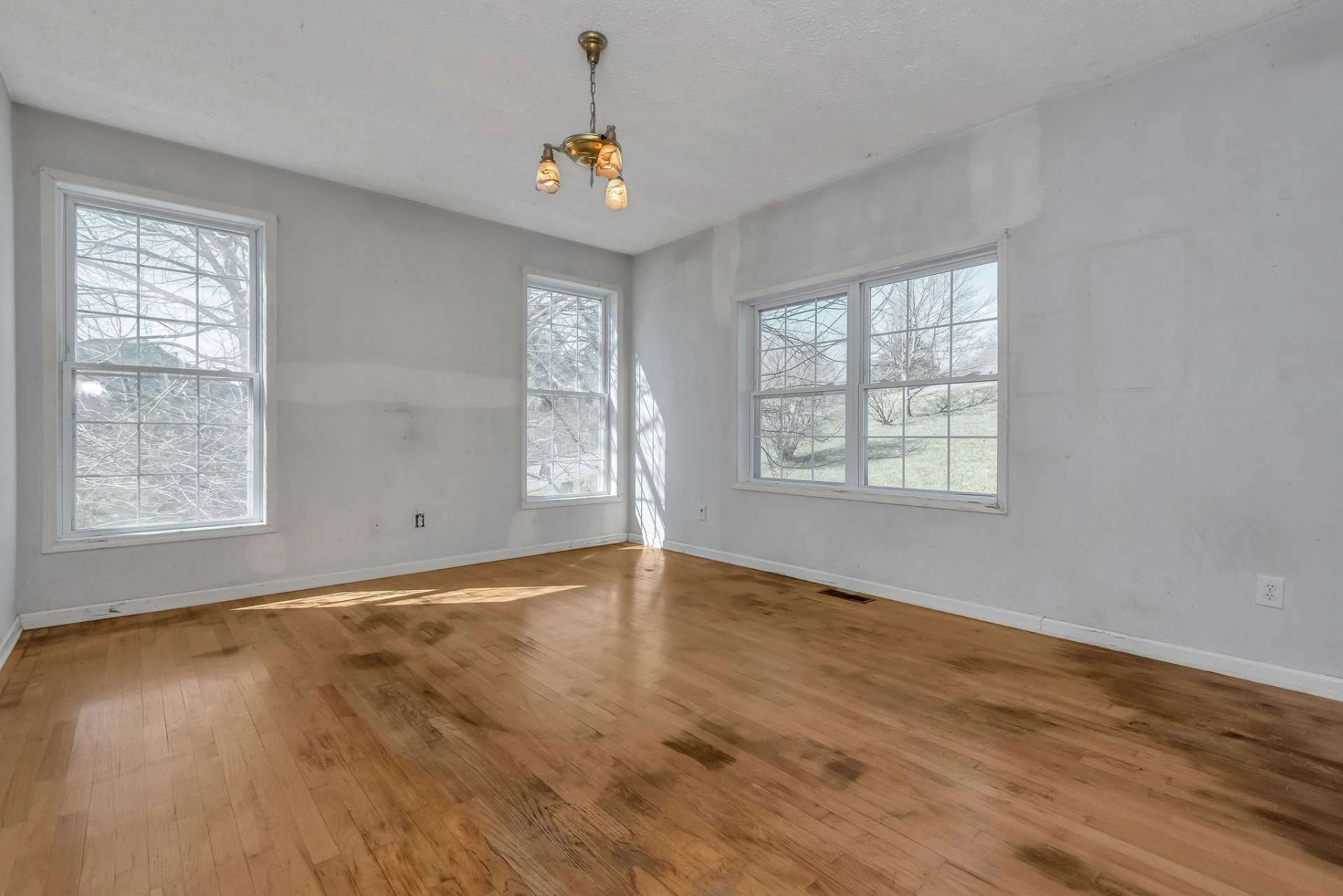 Image number 6 for the current listing