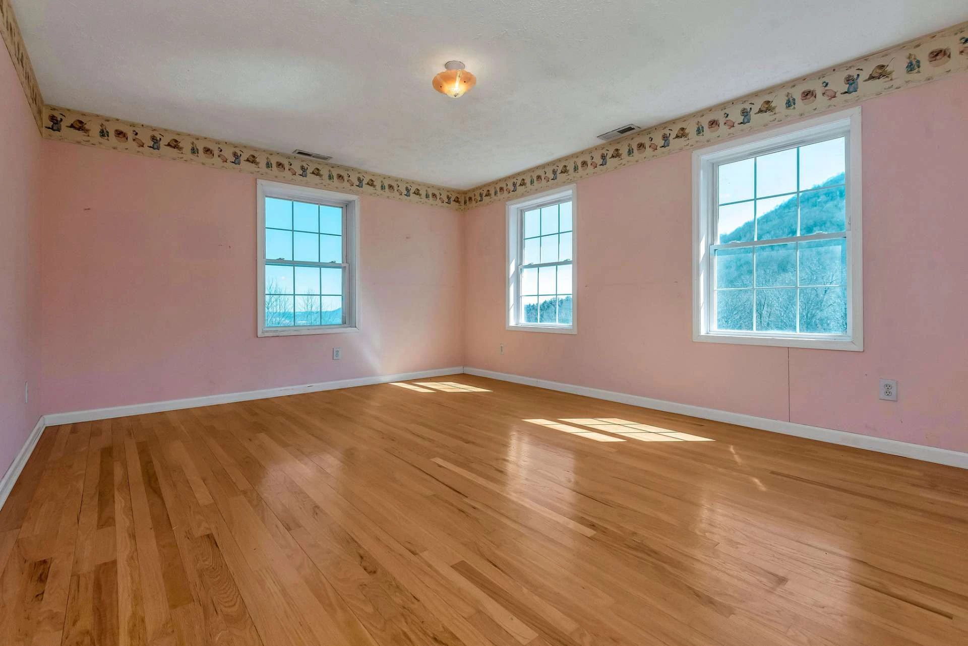 Image number 9 for the current listing