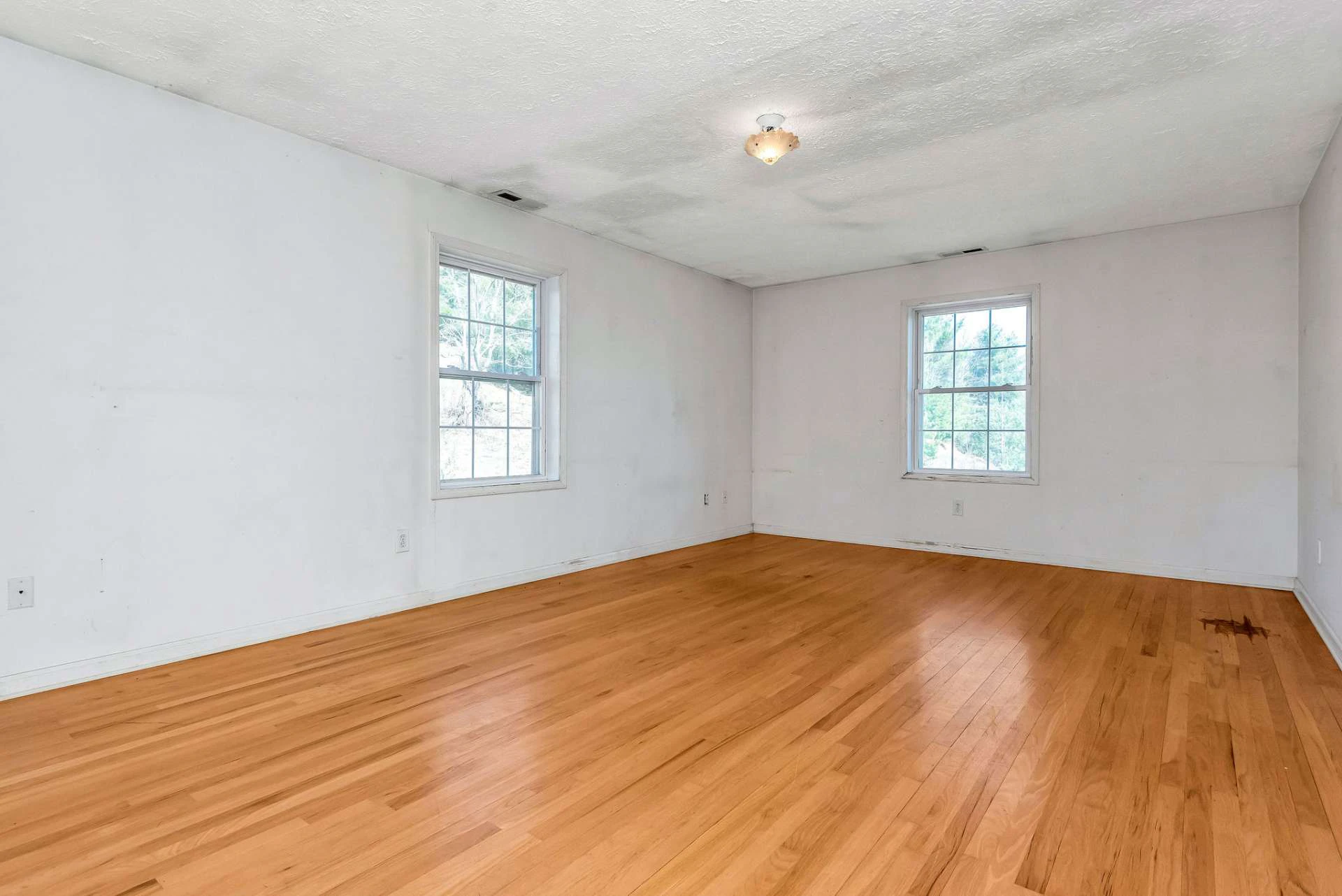 Image number 14 for the current listing