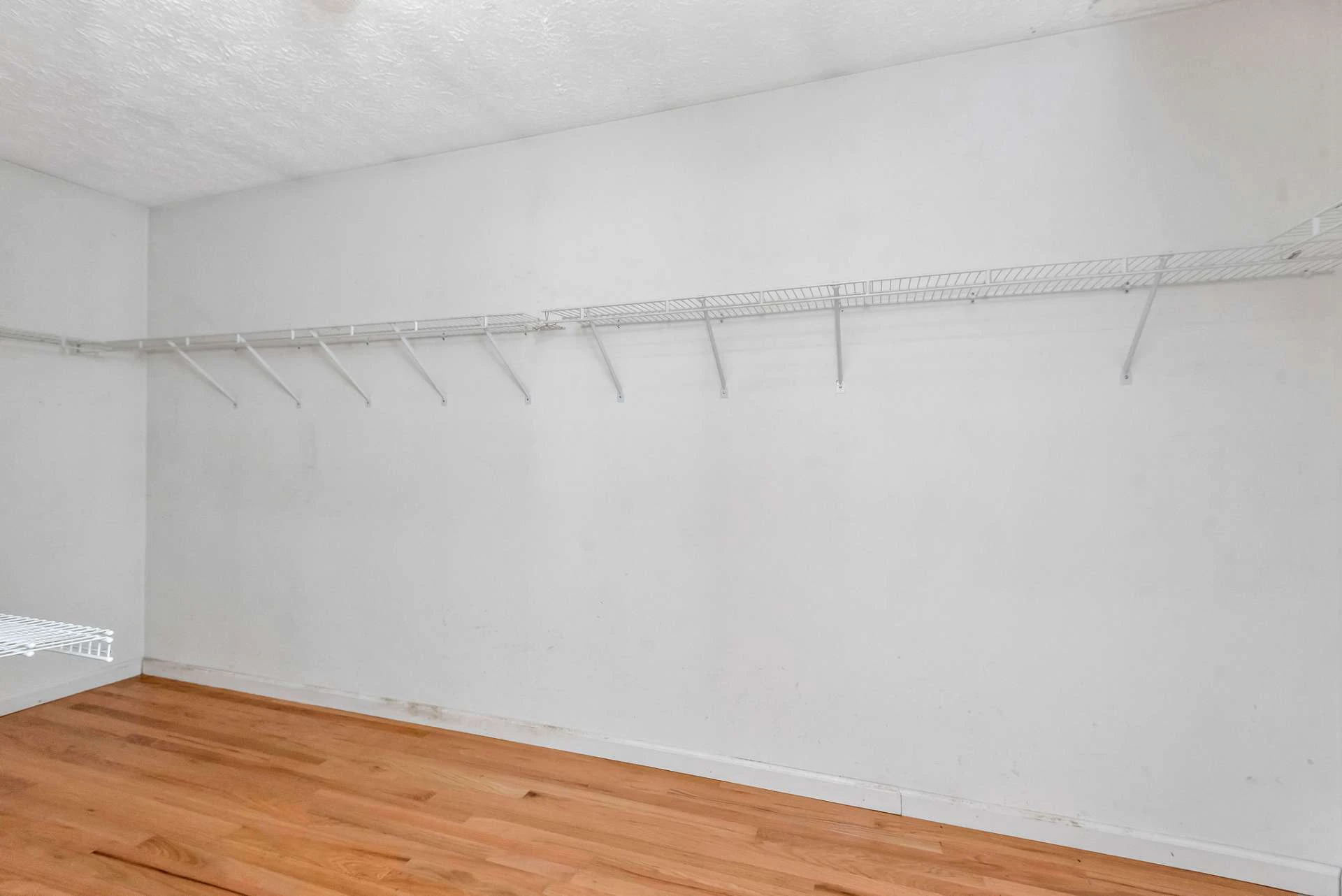 Image number 2 for the current listing