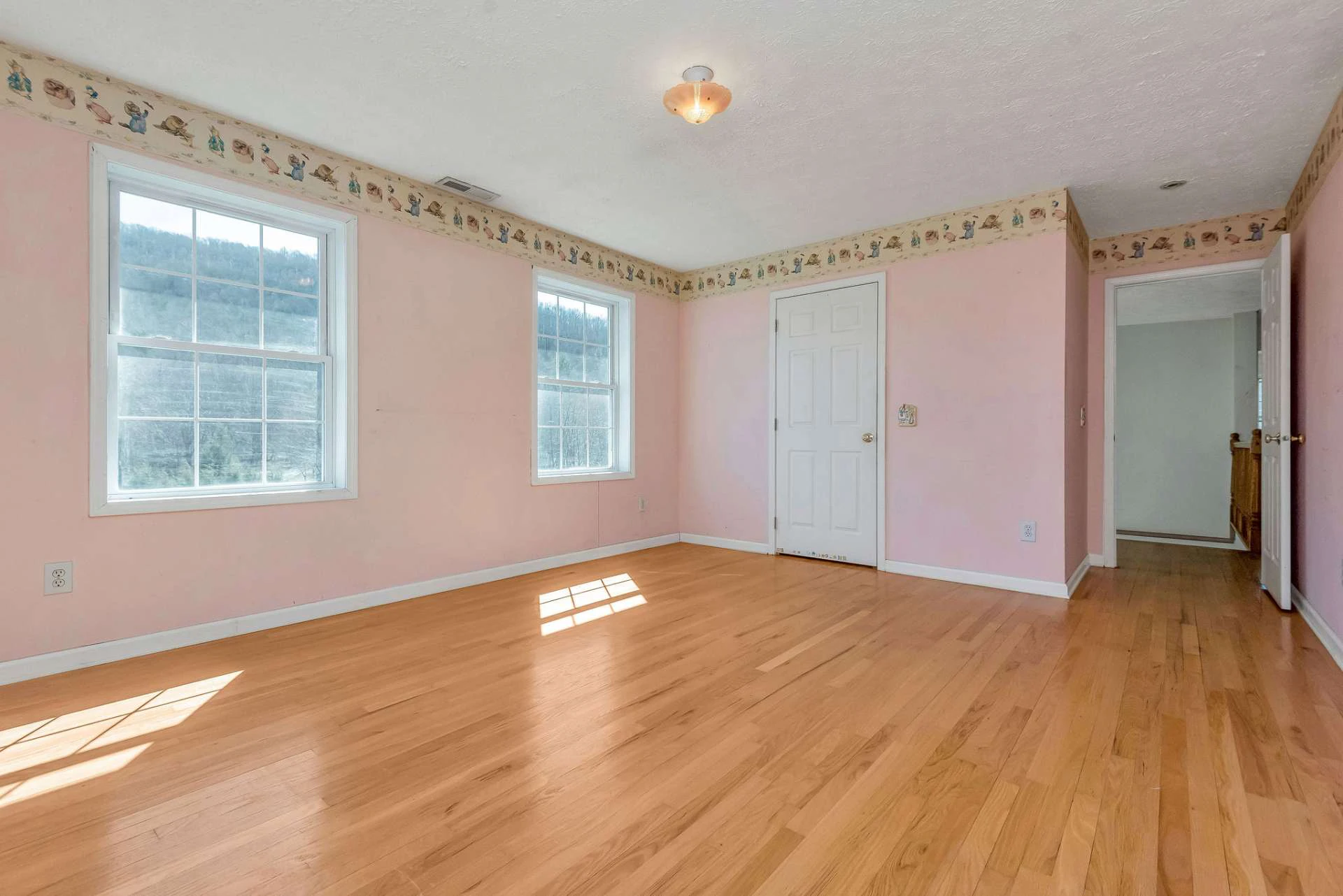 Image number 12 for the current listing