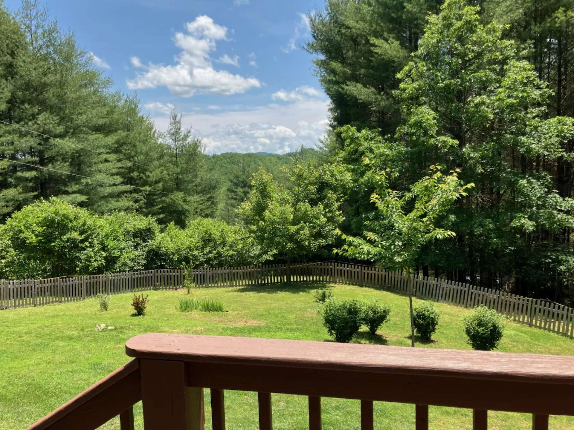 Image number 3 for the current listing