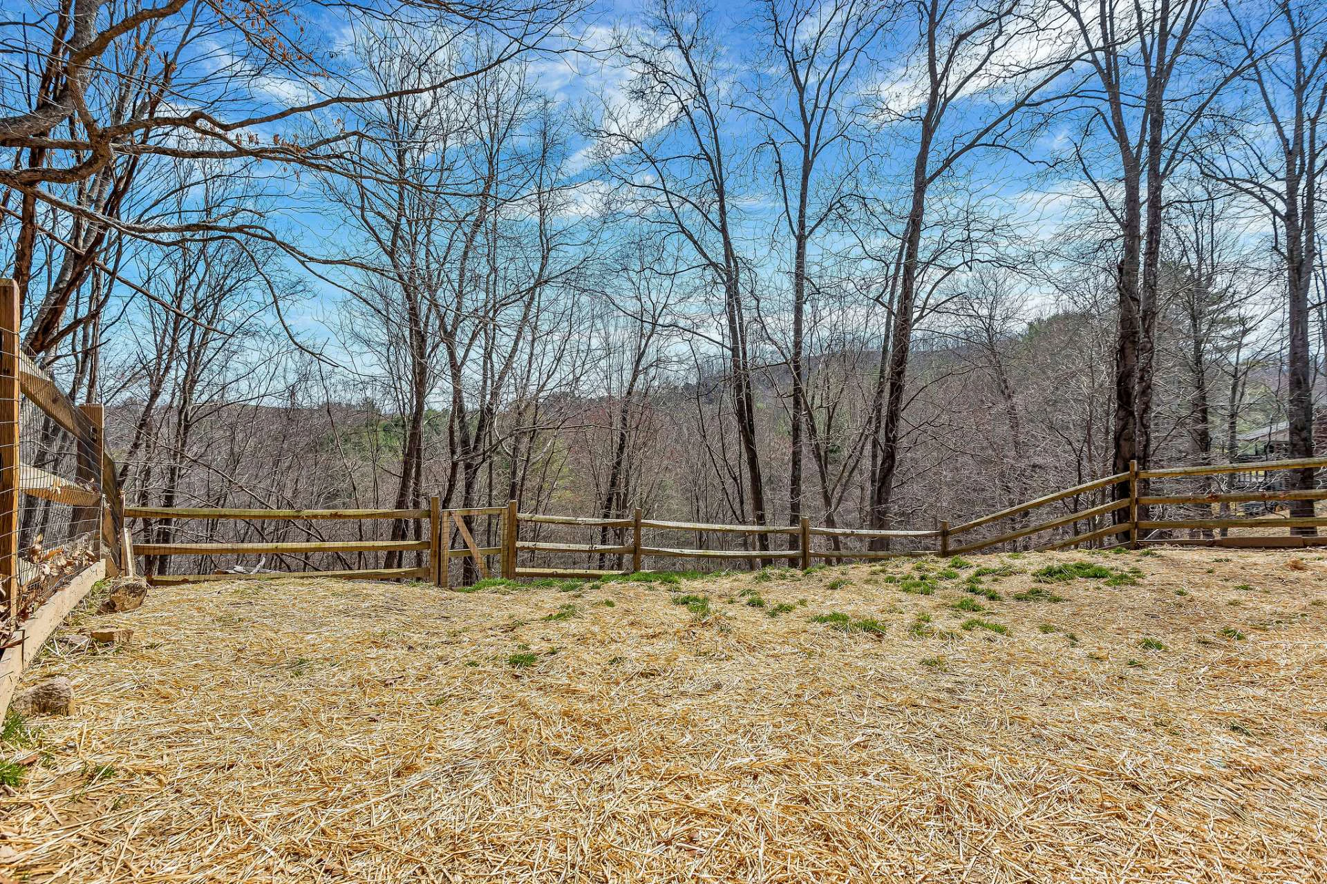 Image number 10 for the current listing