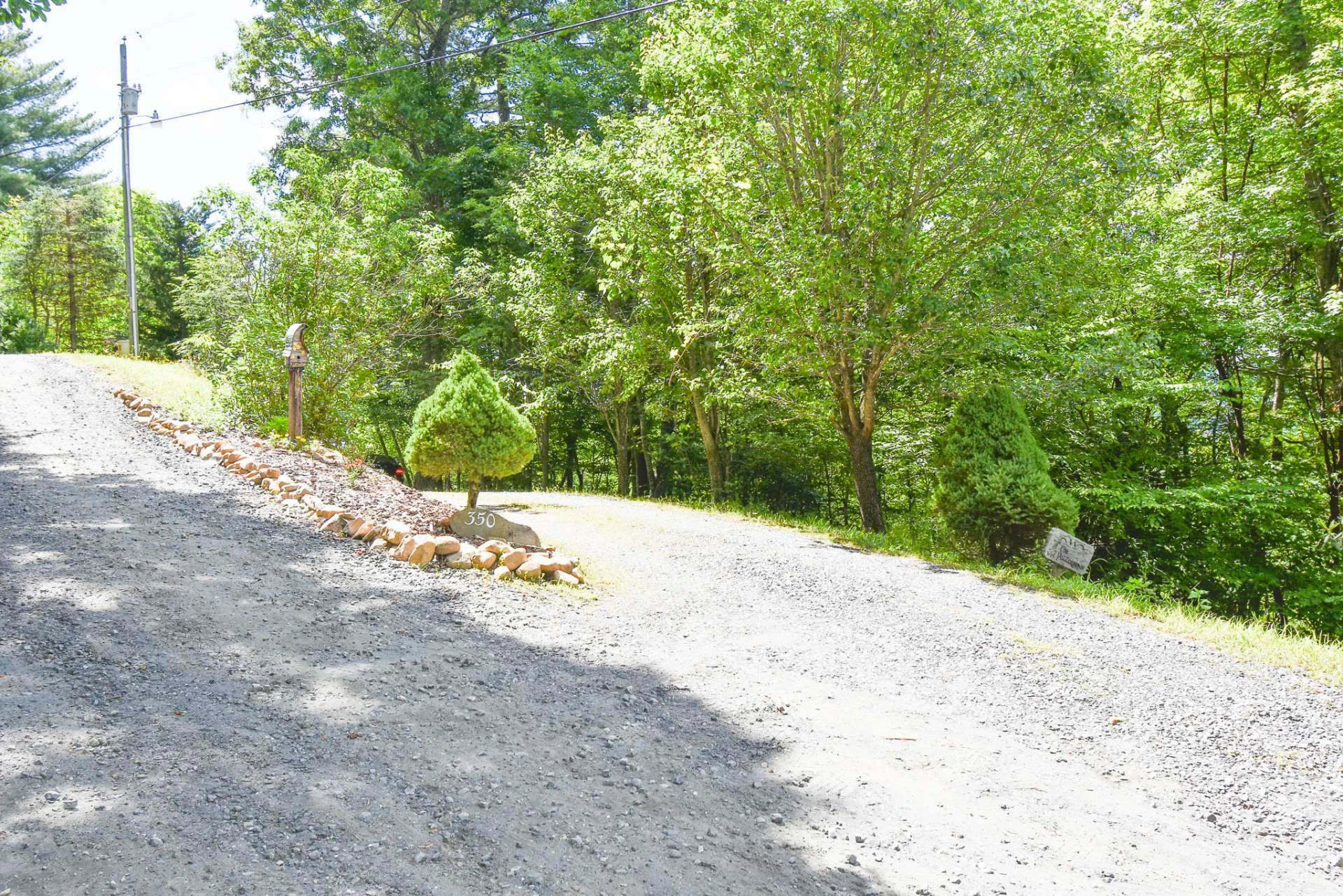 Image number 5 for the current listing