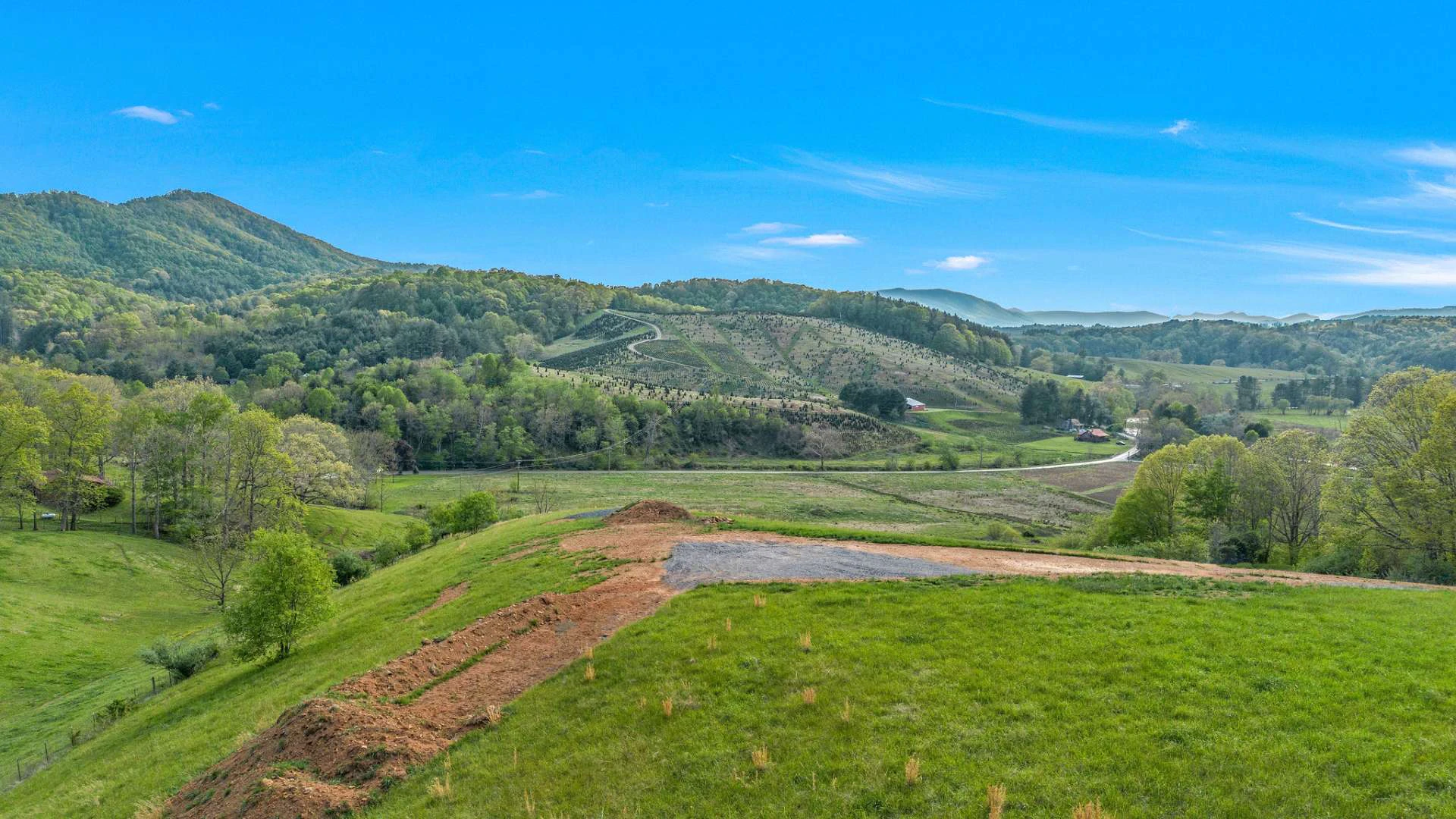 Image number 3 for the current listing