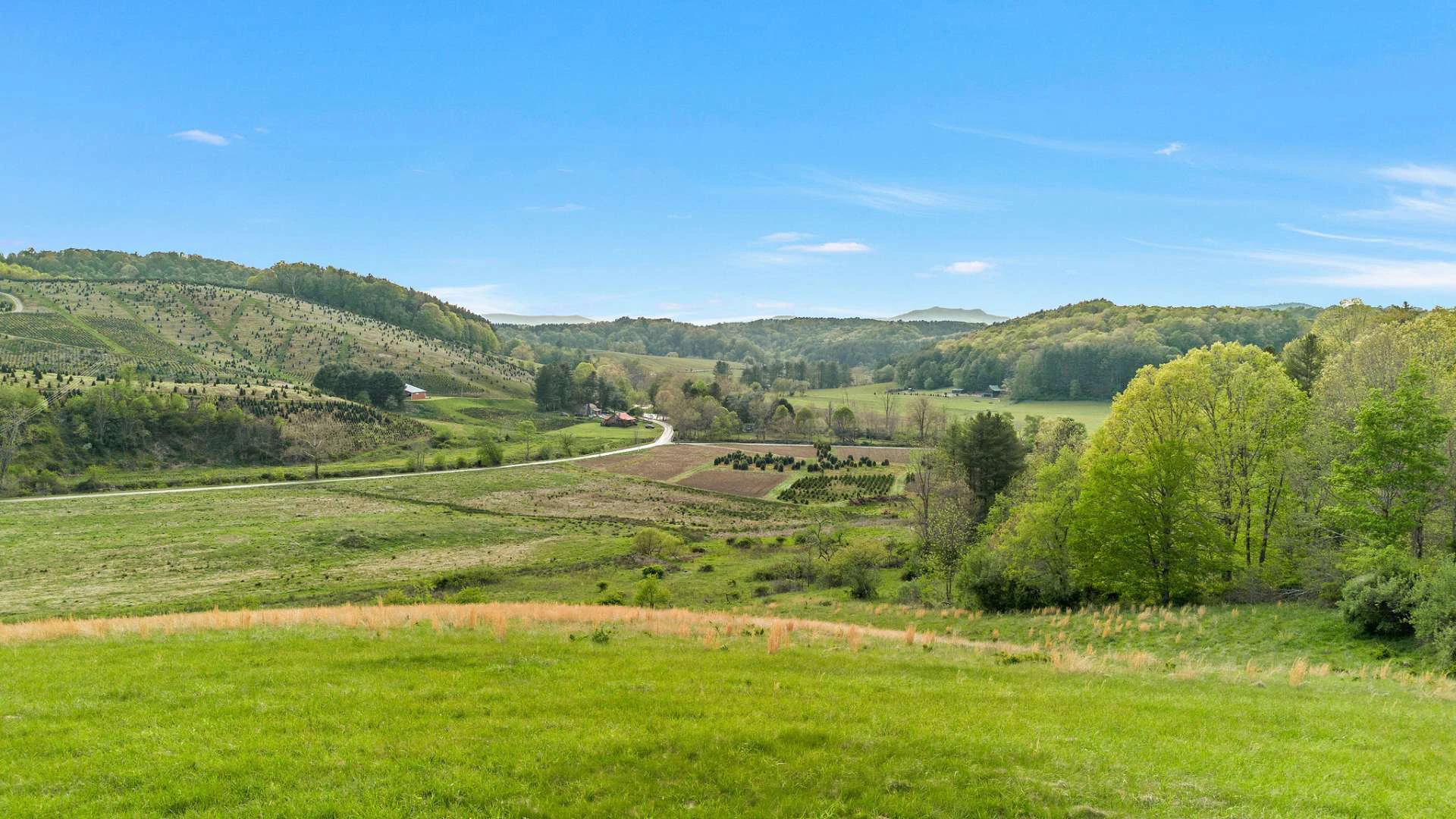 Image number 10 for the current listing