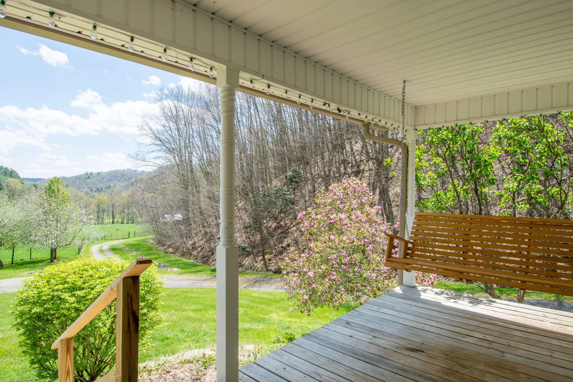 Image number 19 for the current listing