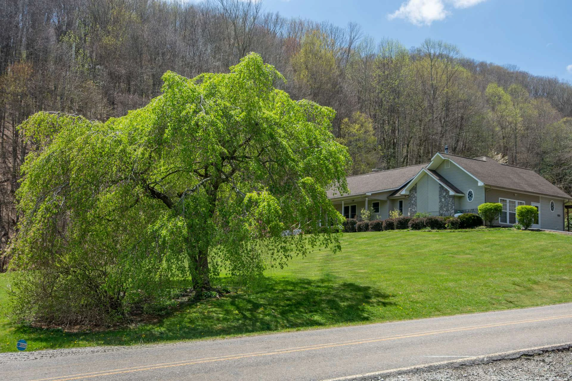 Image number 43 for the current listing