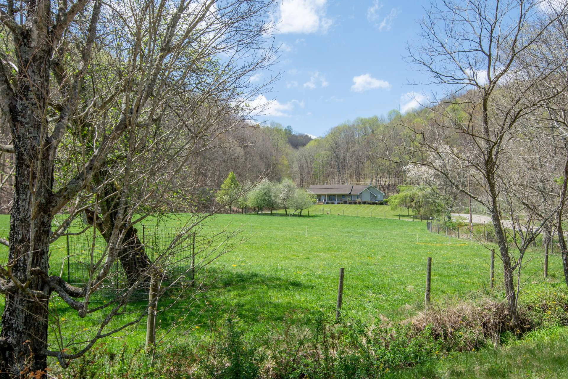 Image number 21 for the current listing