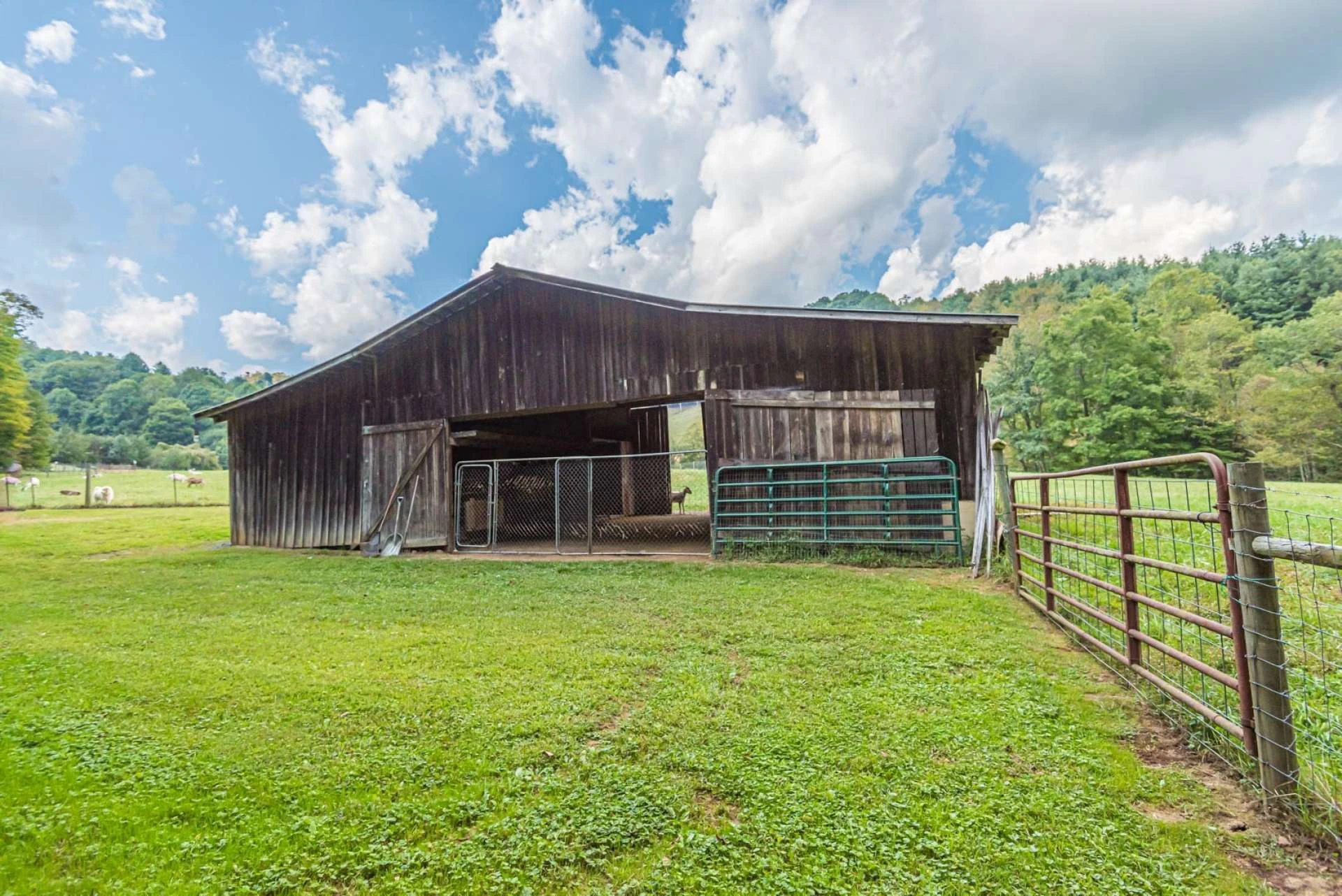 Image number 6 for the current listing