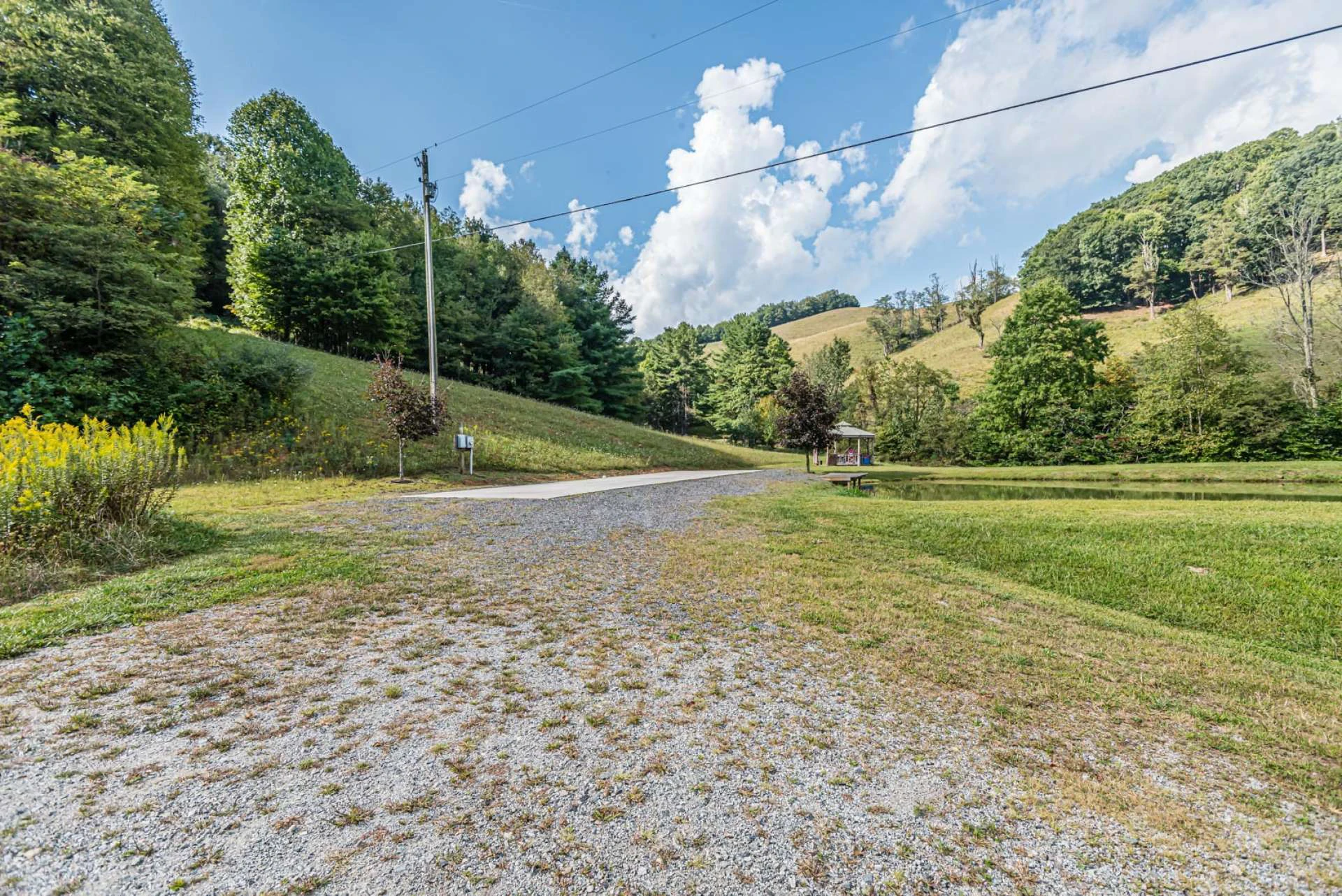 Image number 4 for the current listing