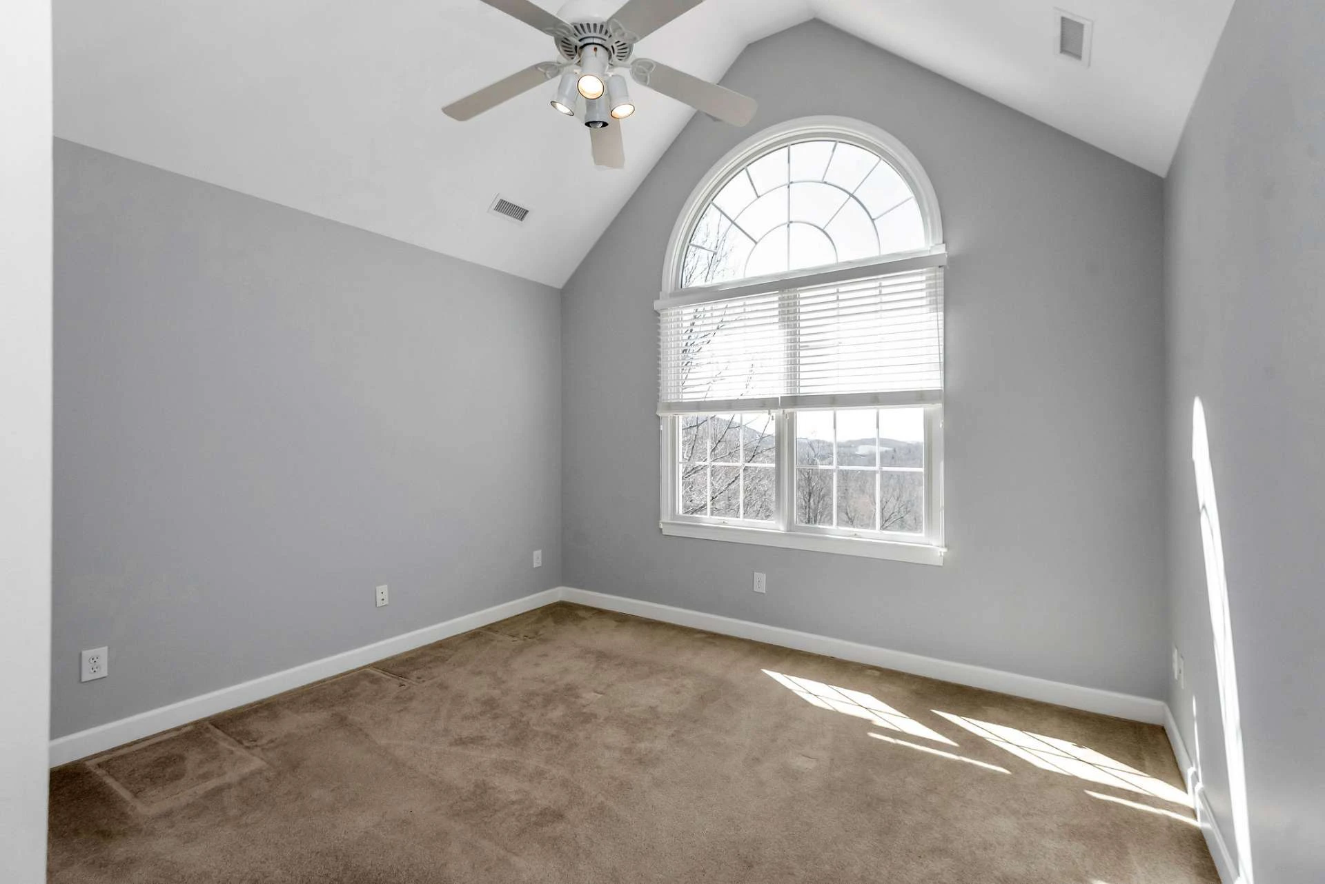 Image number 9 for the current listing