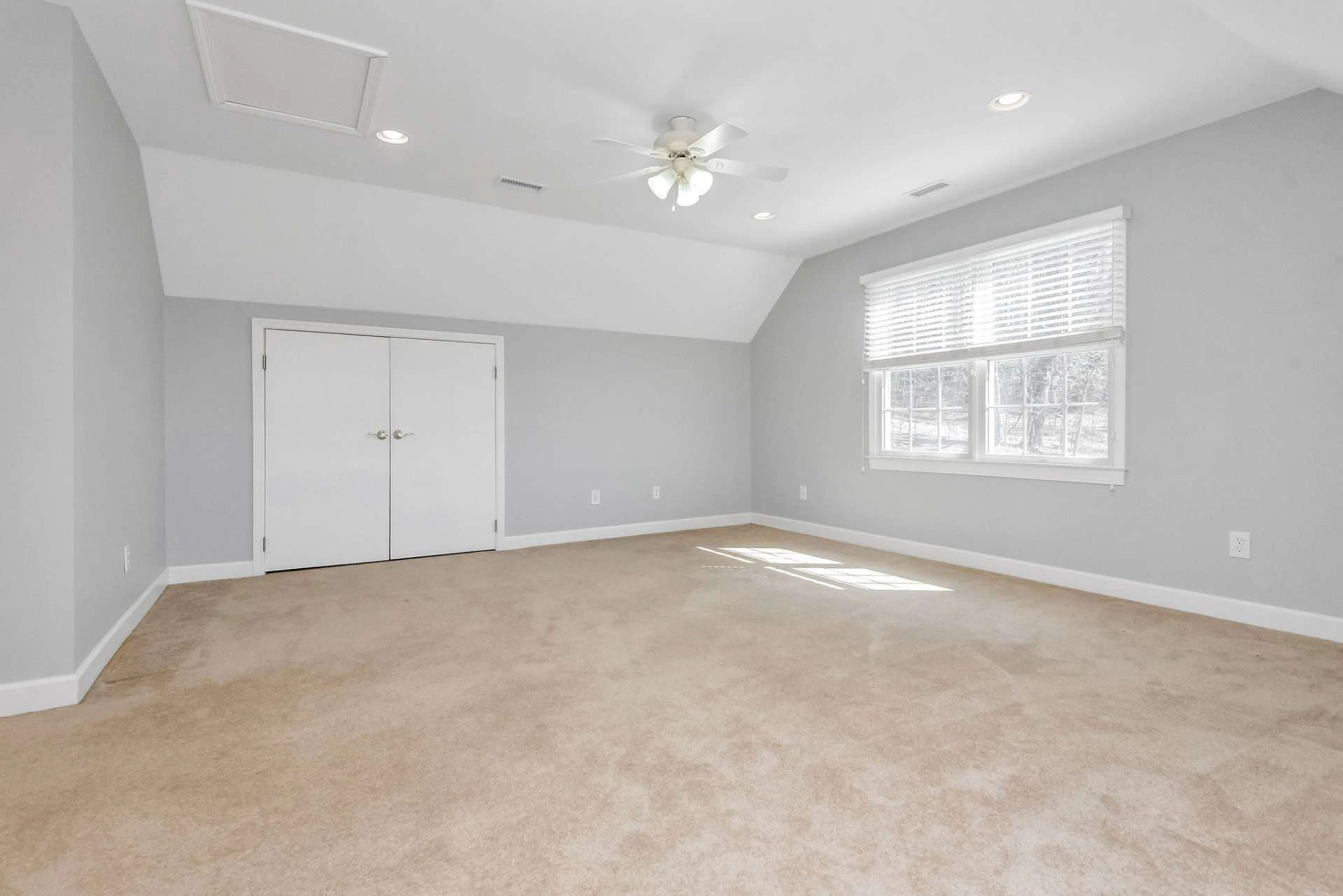 Image number 7 for the current listing