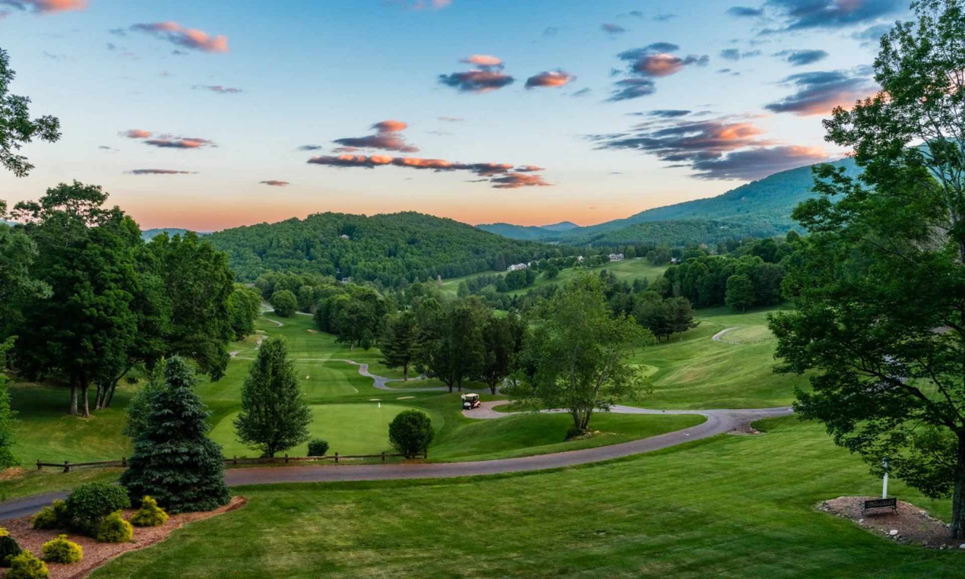 Image number 1 for the current listing