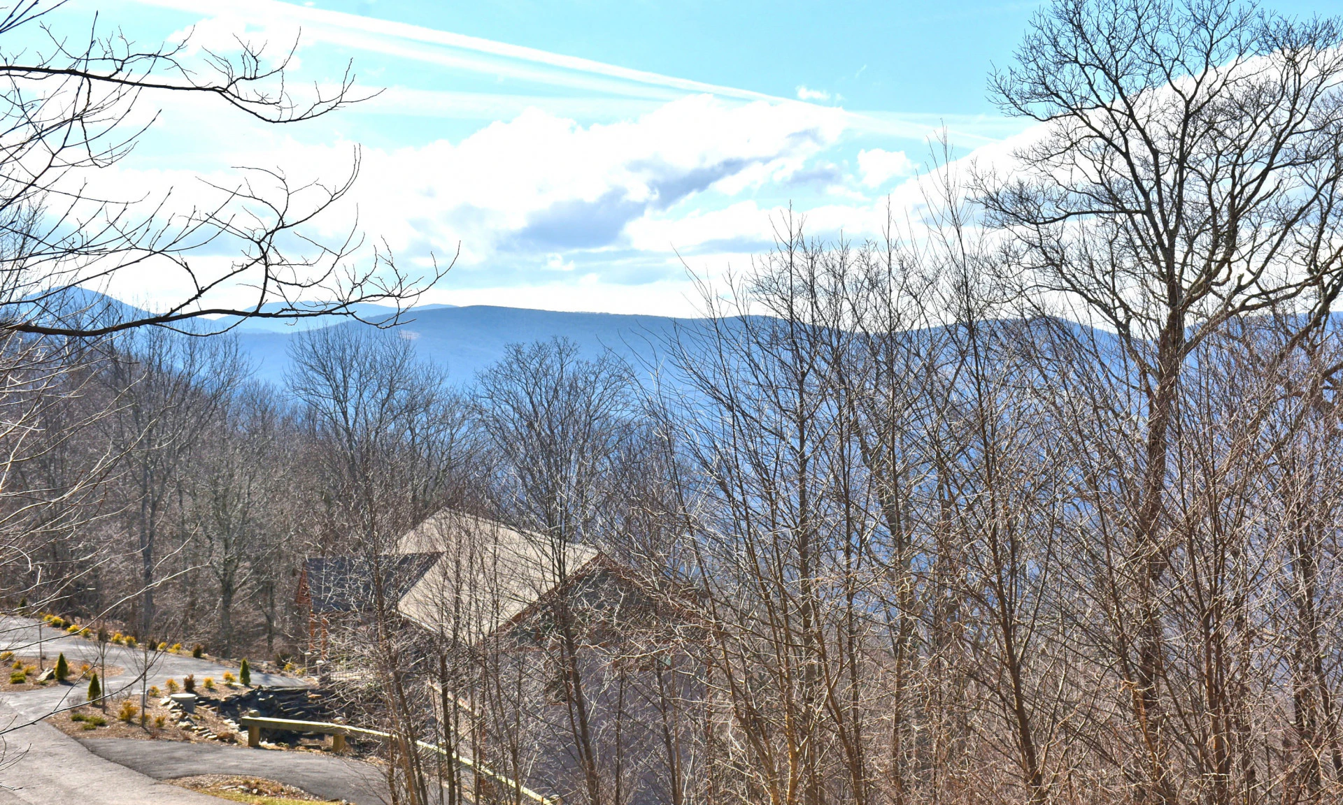 Image number 1 for the current listing
