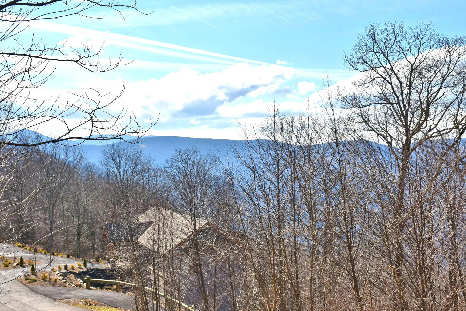 Image number 13 for the current listing