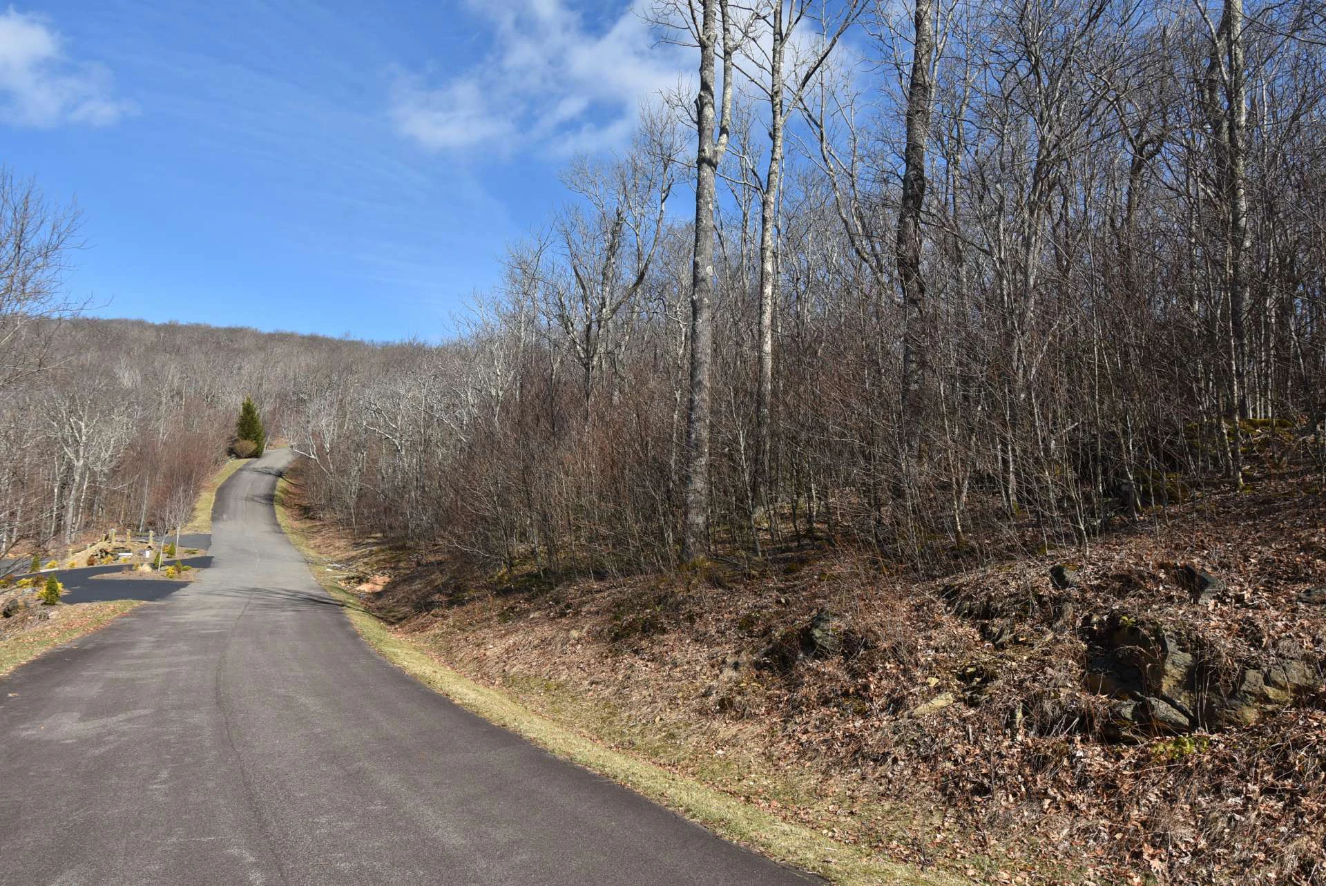 Image number 2 for the current listing
