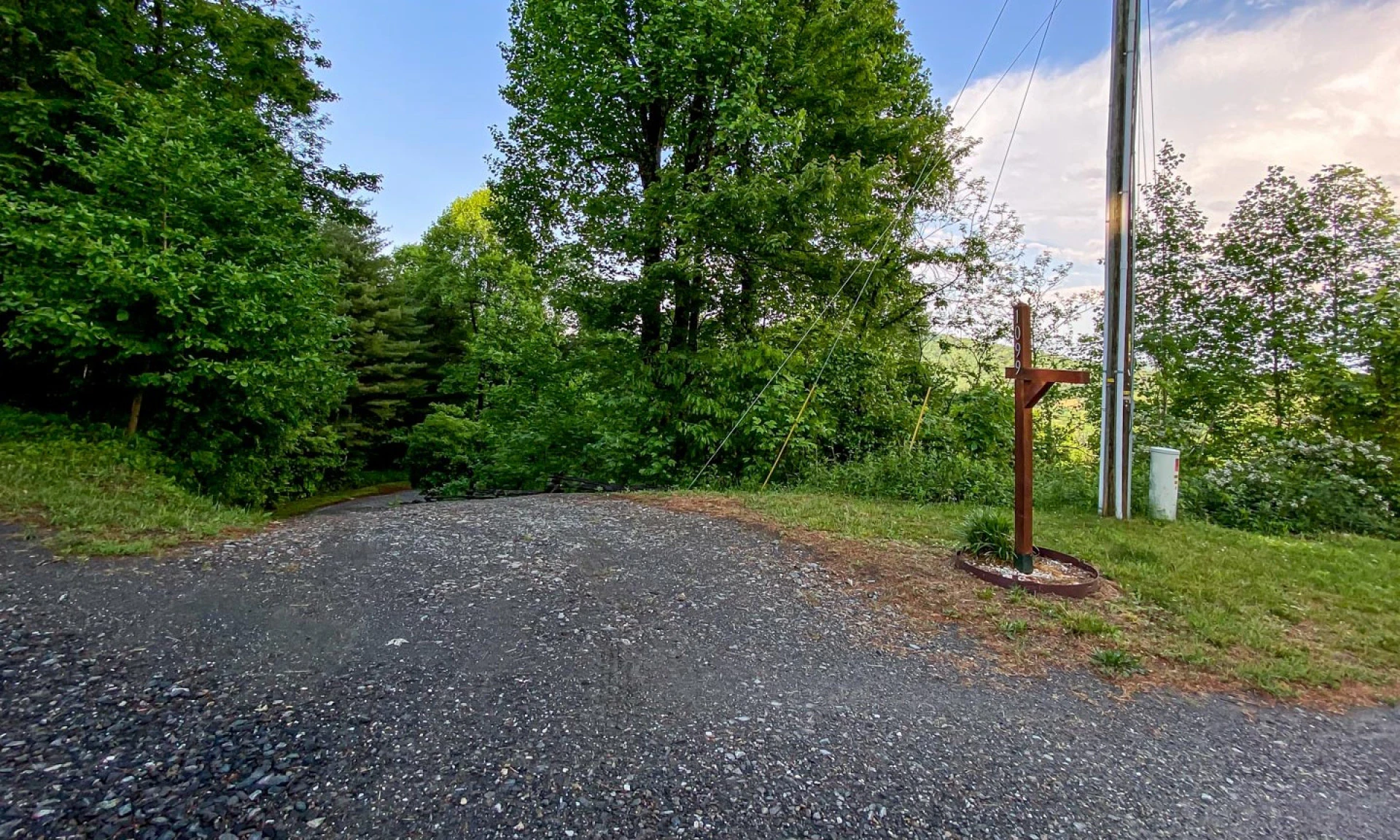 Image number 1 for the current listing