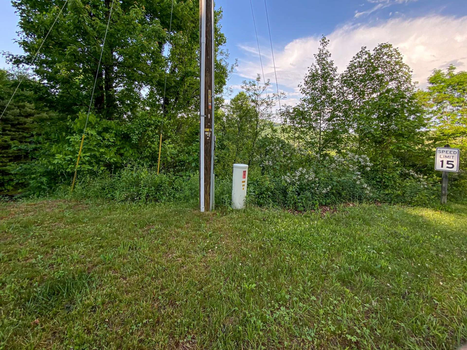 Image number 6 for the current listing
