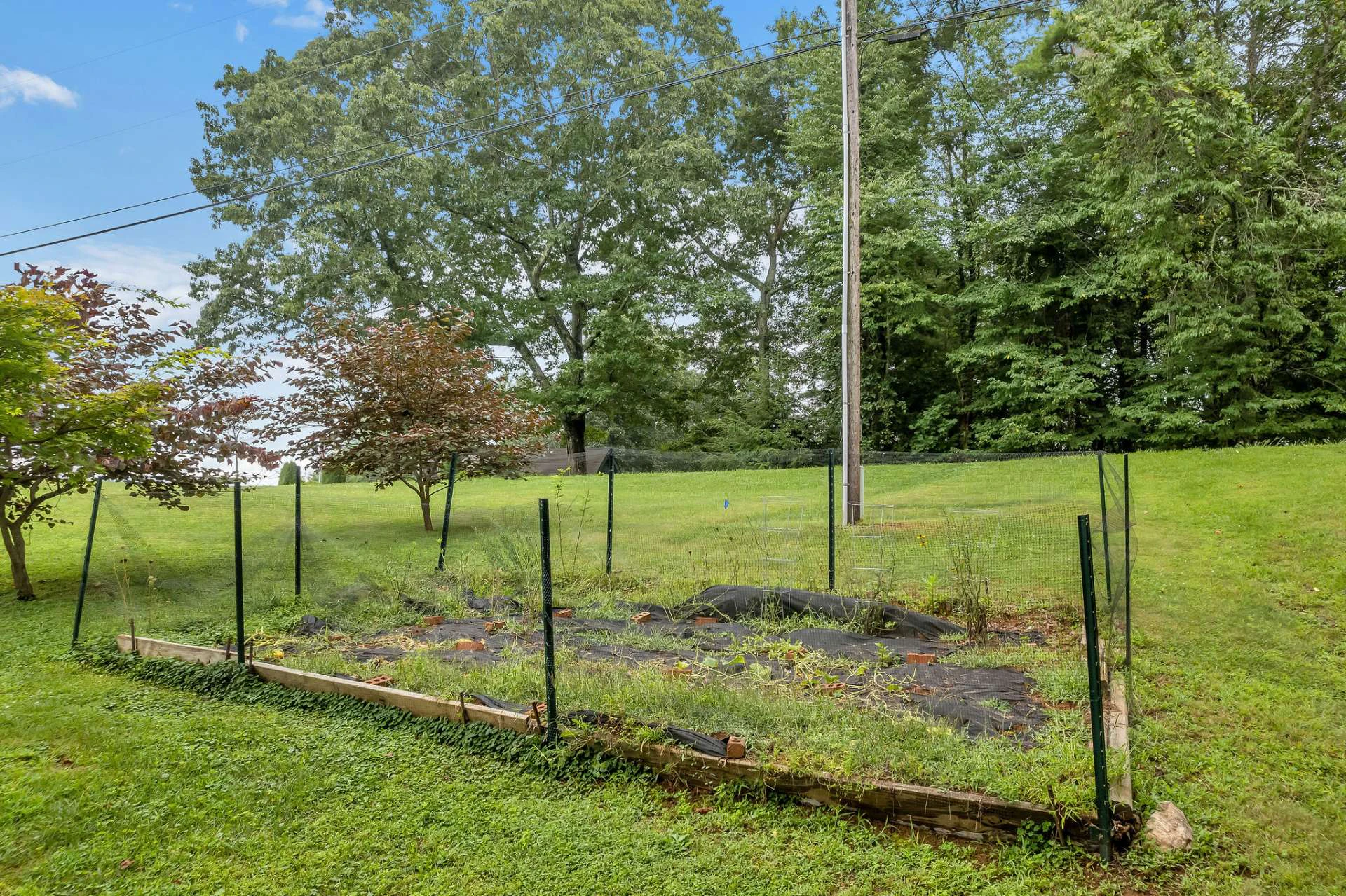 Image number 20 for the current listing