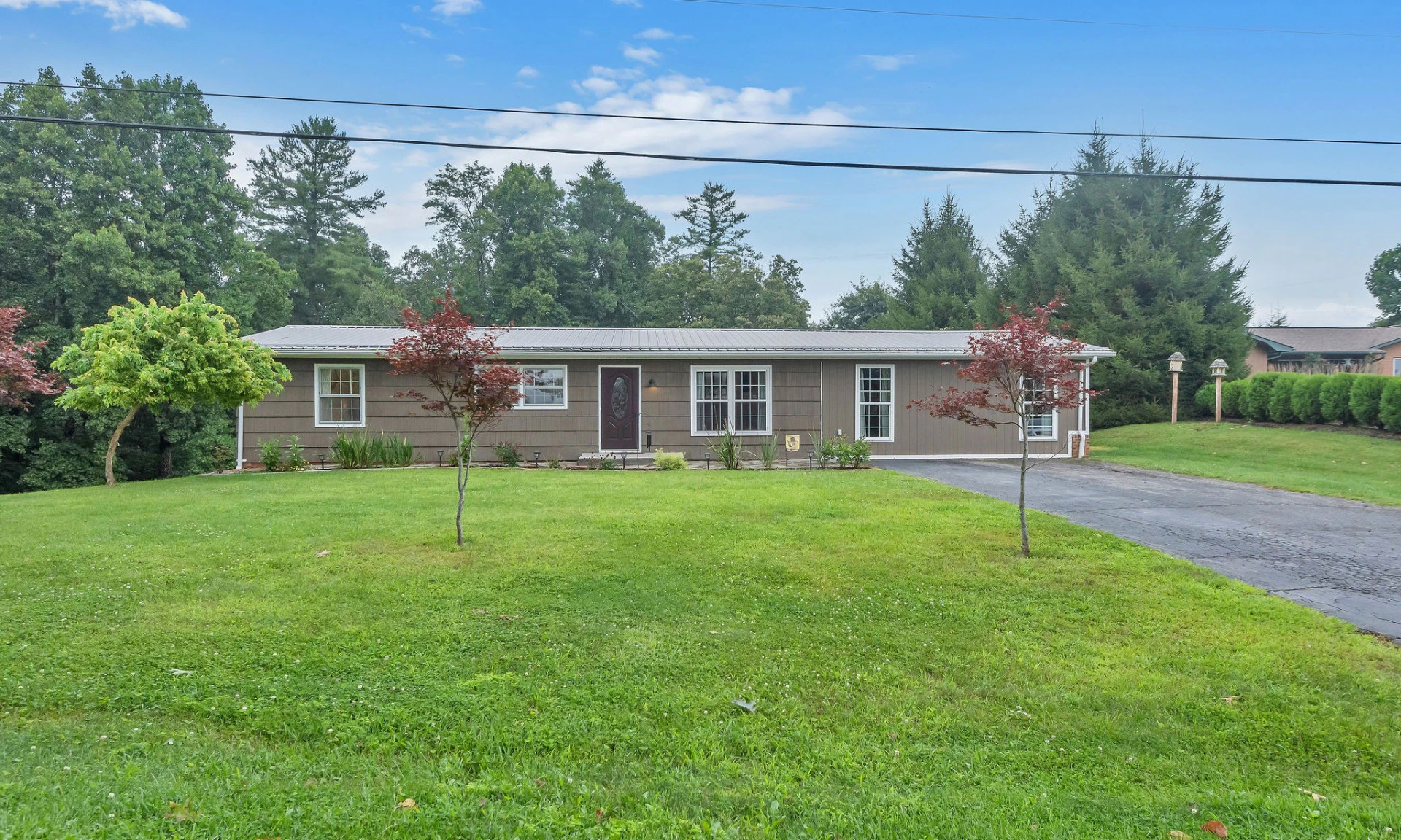 Image number 1 for the current listing