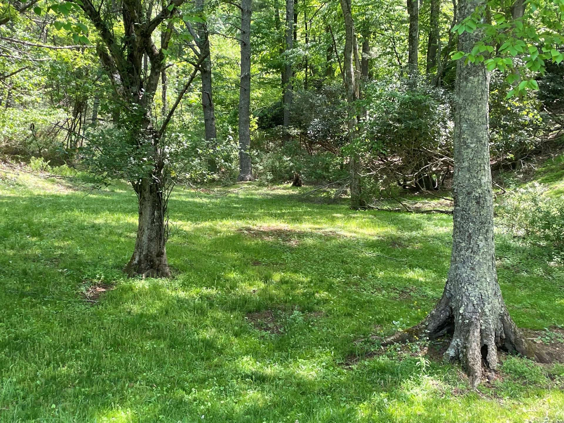 Image number 20 for the current listing