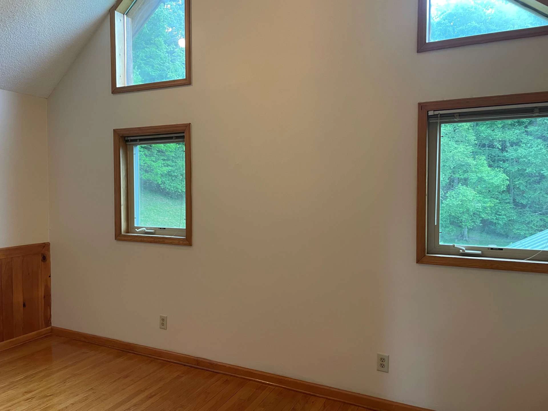 Image number 8 for the current listing