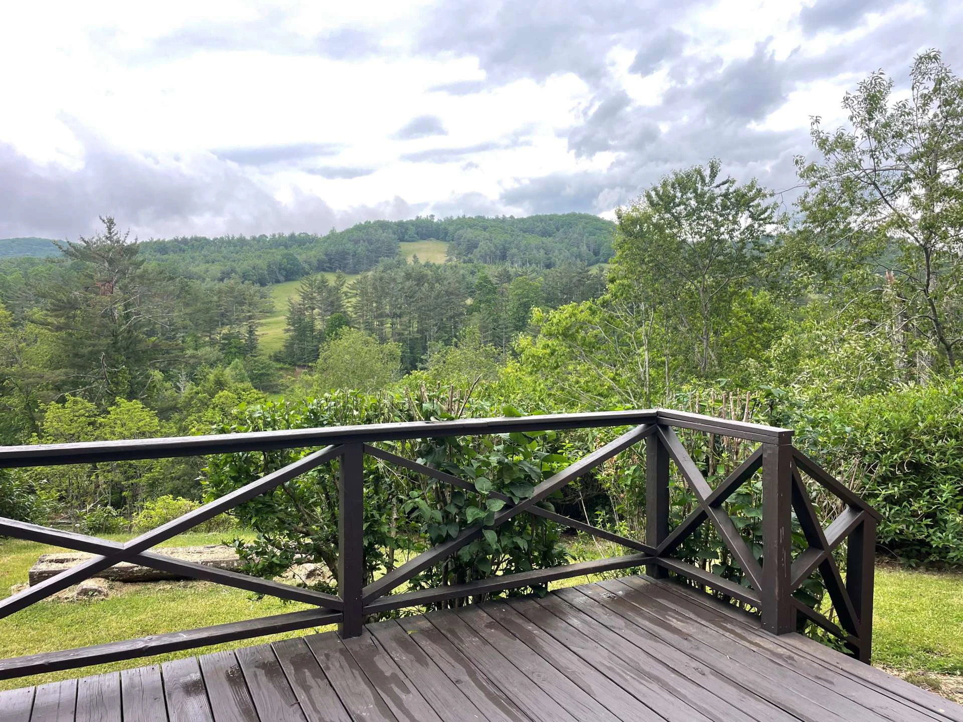 Image number 5 for the current listing
