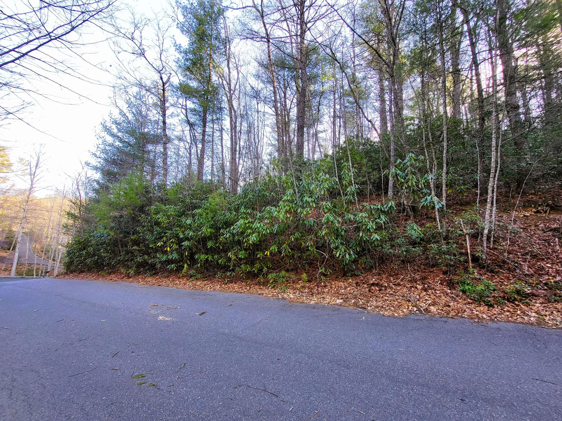 Image number 7 for the current listing