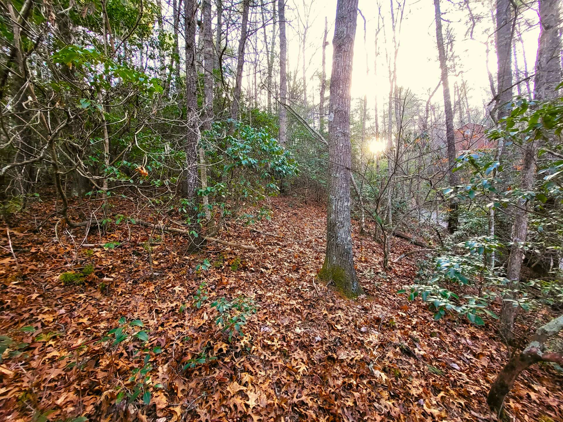 Image number 3 for the current listing