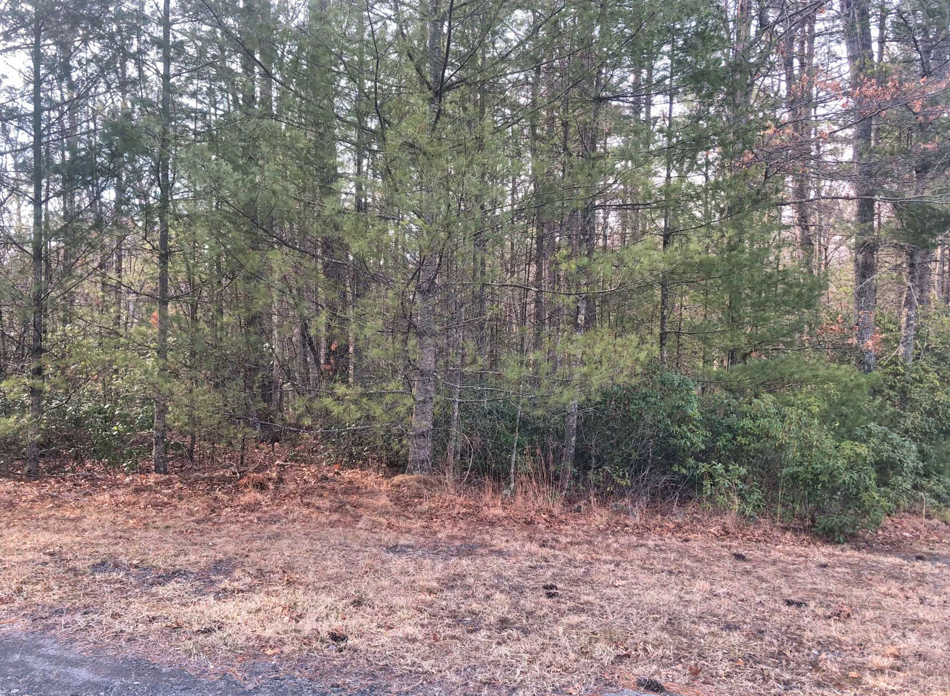 Image number 3 for the current listing