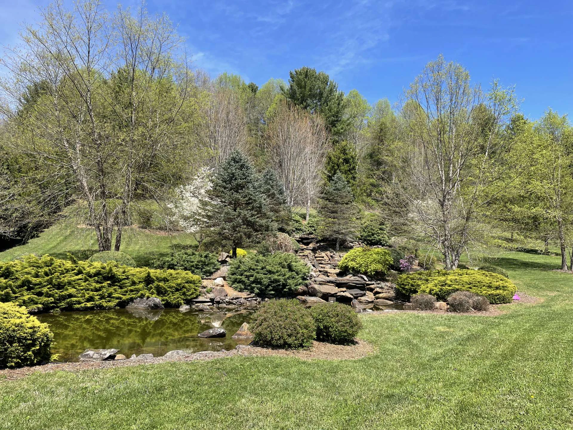 Image number 3 for the current listing