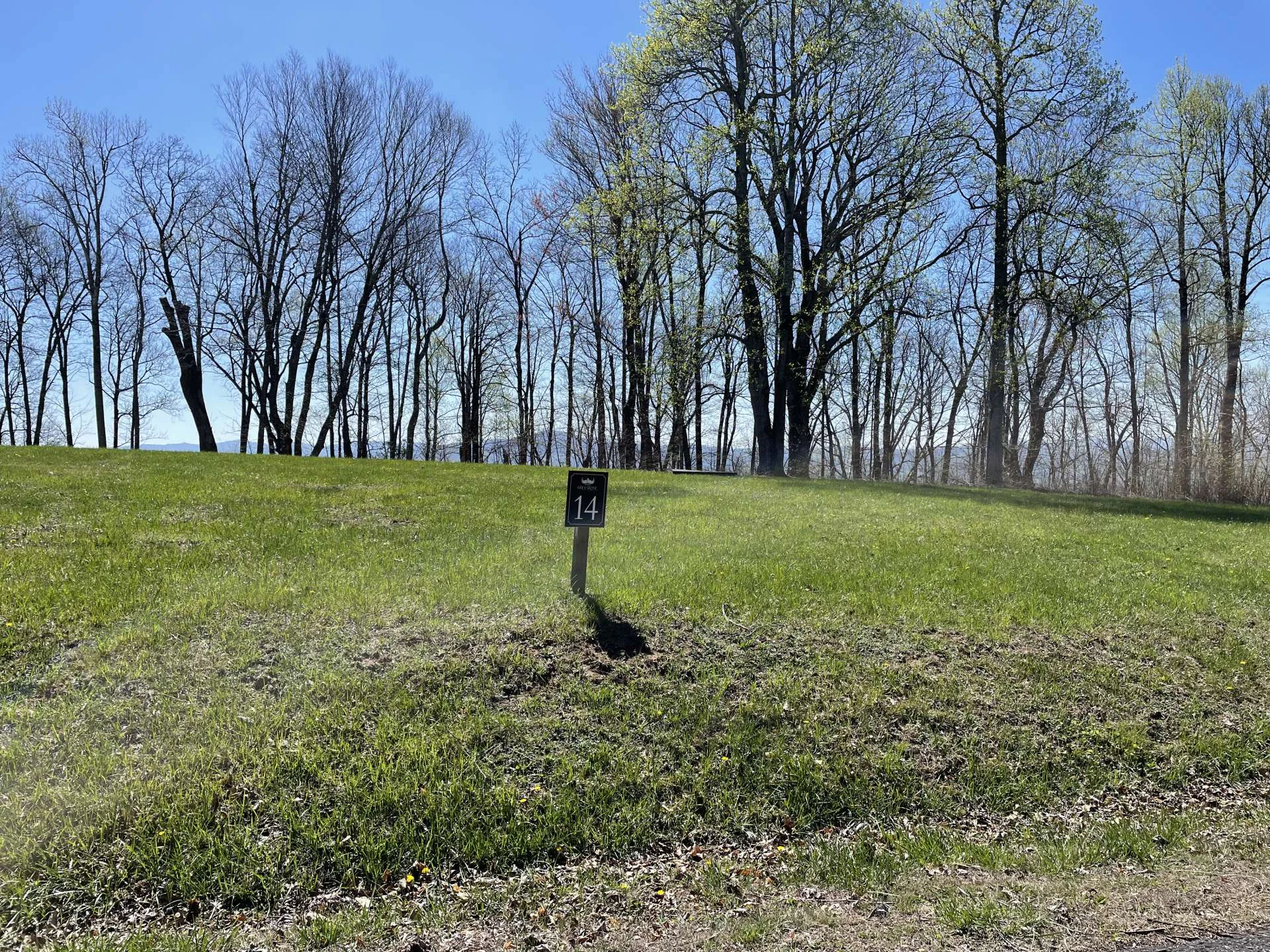 Image number 5 for the current listing